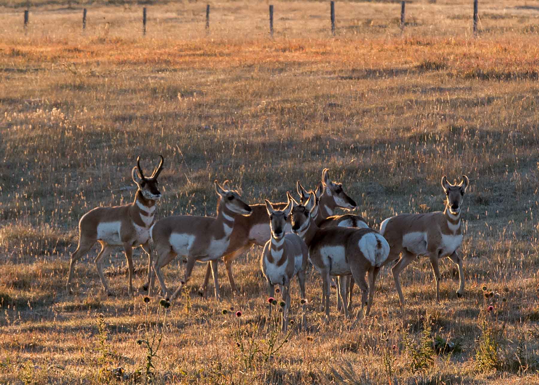 King of Hearts Ranch property picture 17 of 83