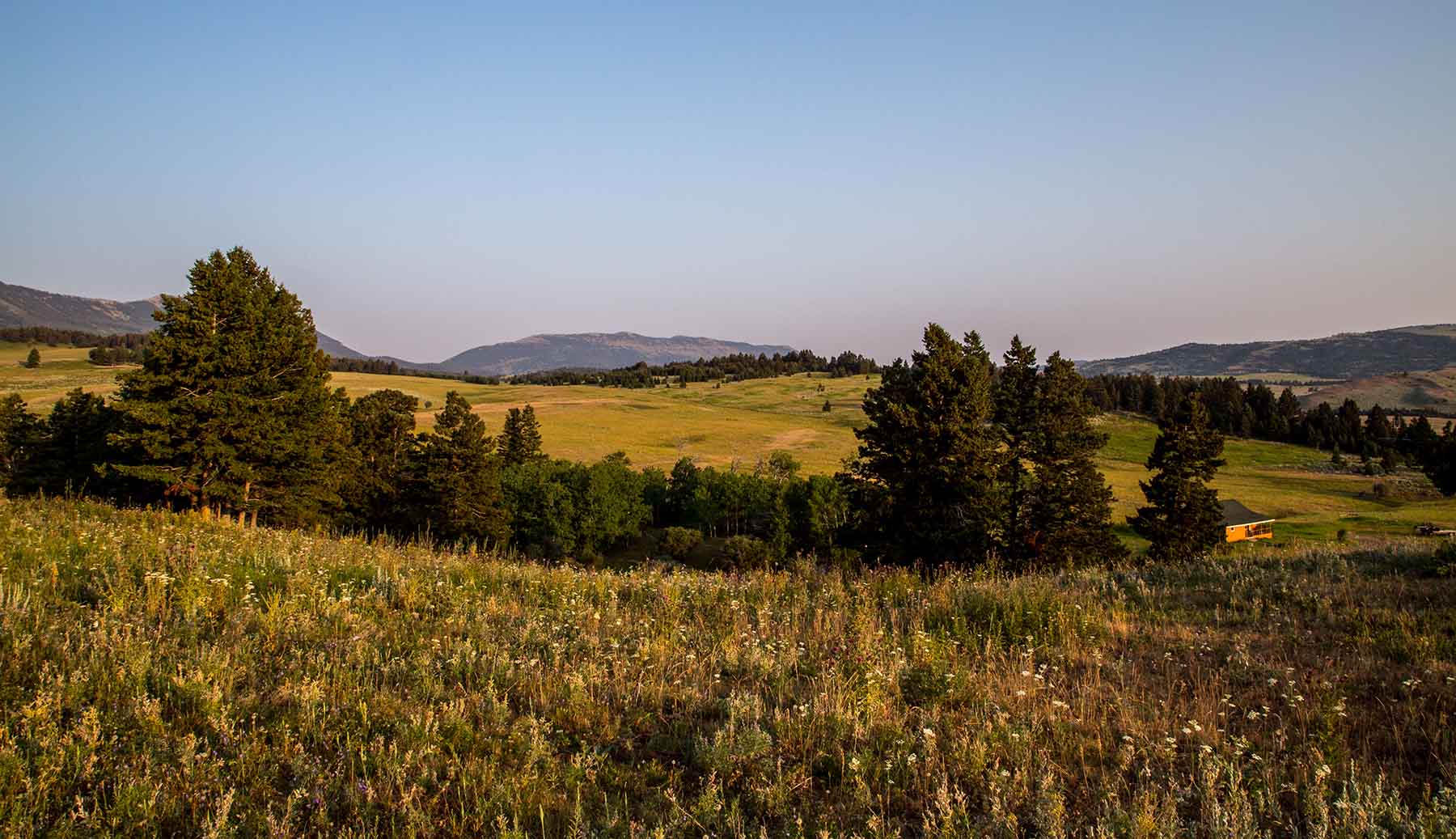 King of Hearts Ranch property picture 41 of 83