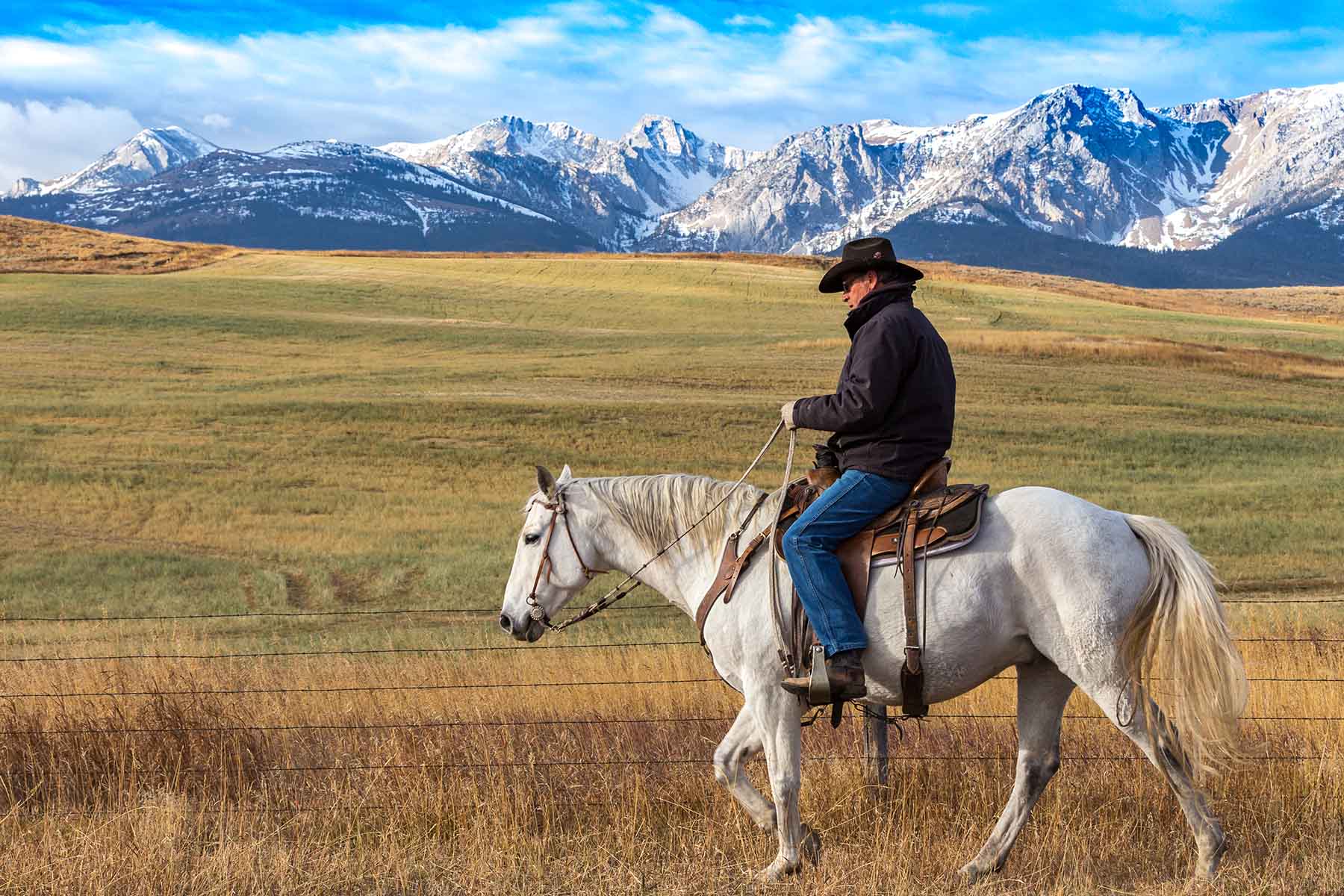 King of Hearts Ranch property picture 36 of 83