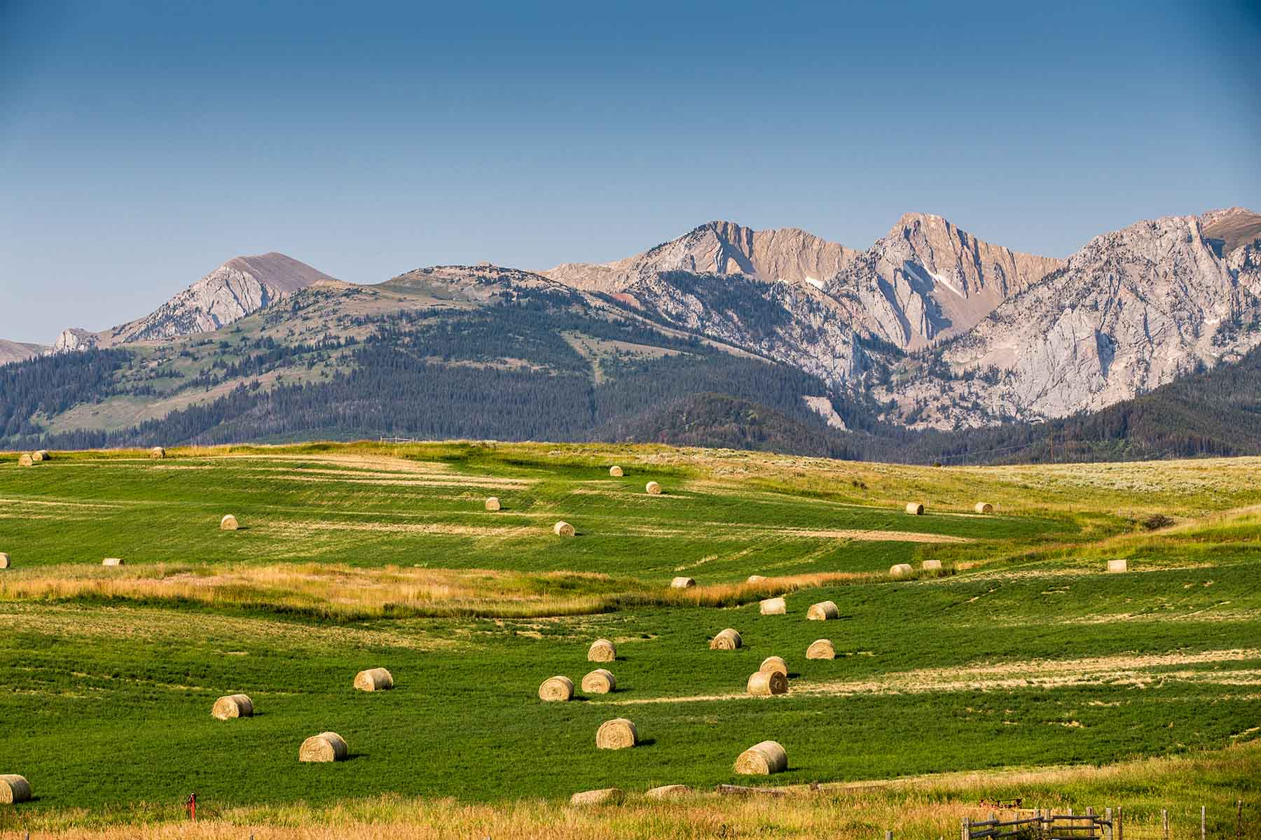 King of Hearts Ranch property picture 10 of 83