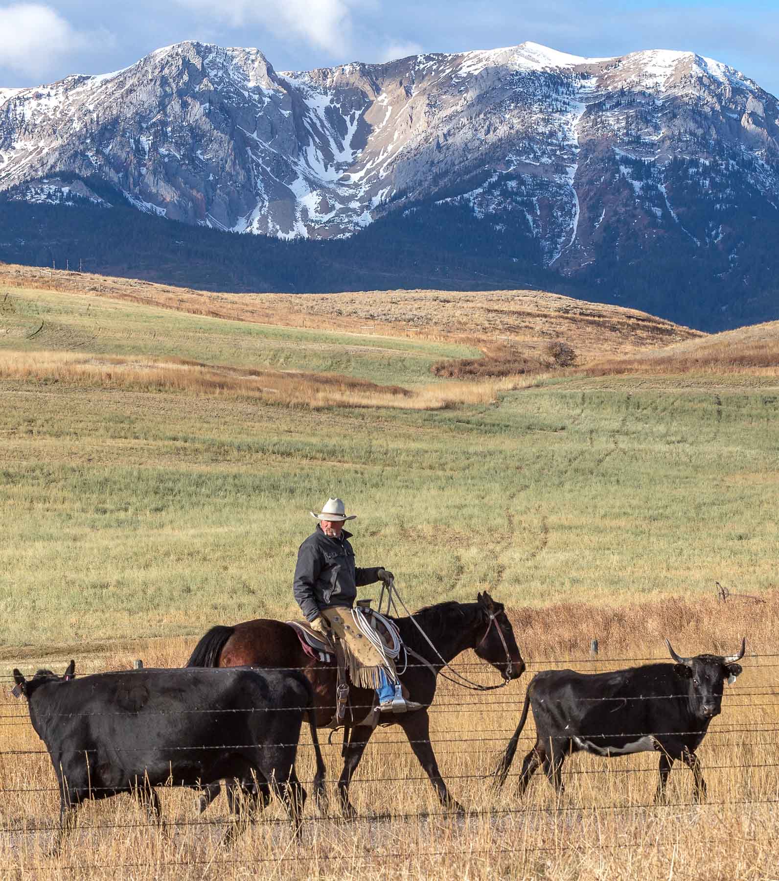 King of Hearts Ranch property picture 54 of 83