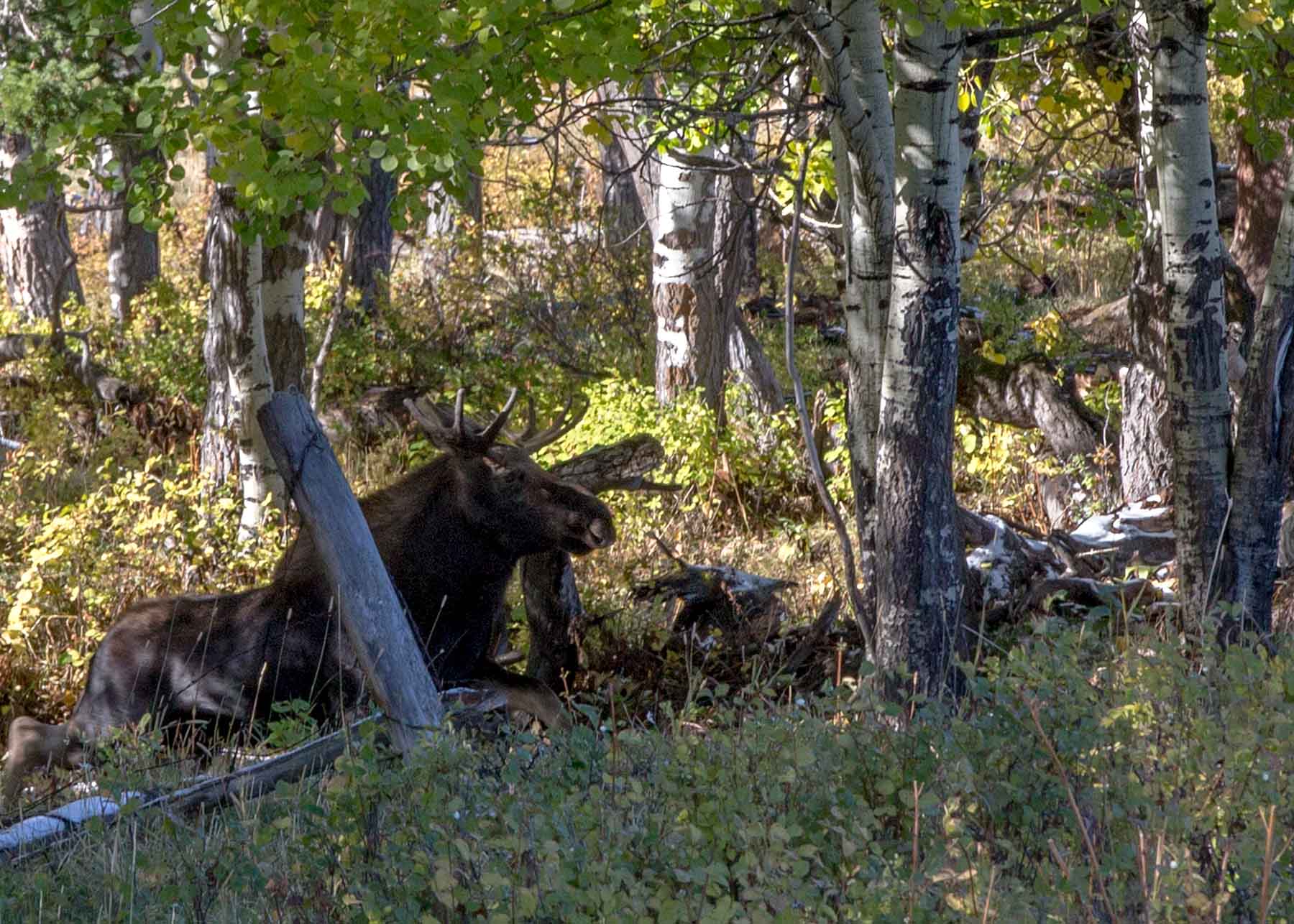 King of Hearts Ranch property picture 37 of 83