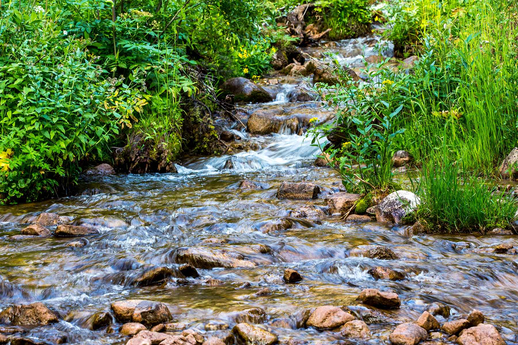 King of Hearts Ranch property picture 58 of 83