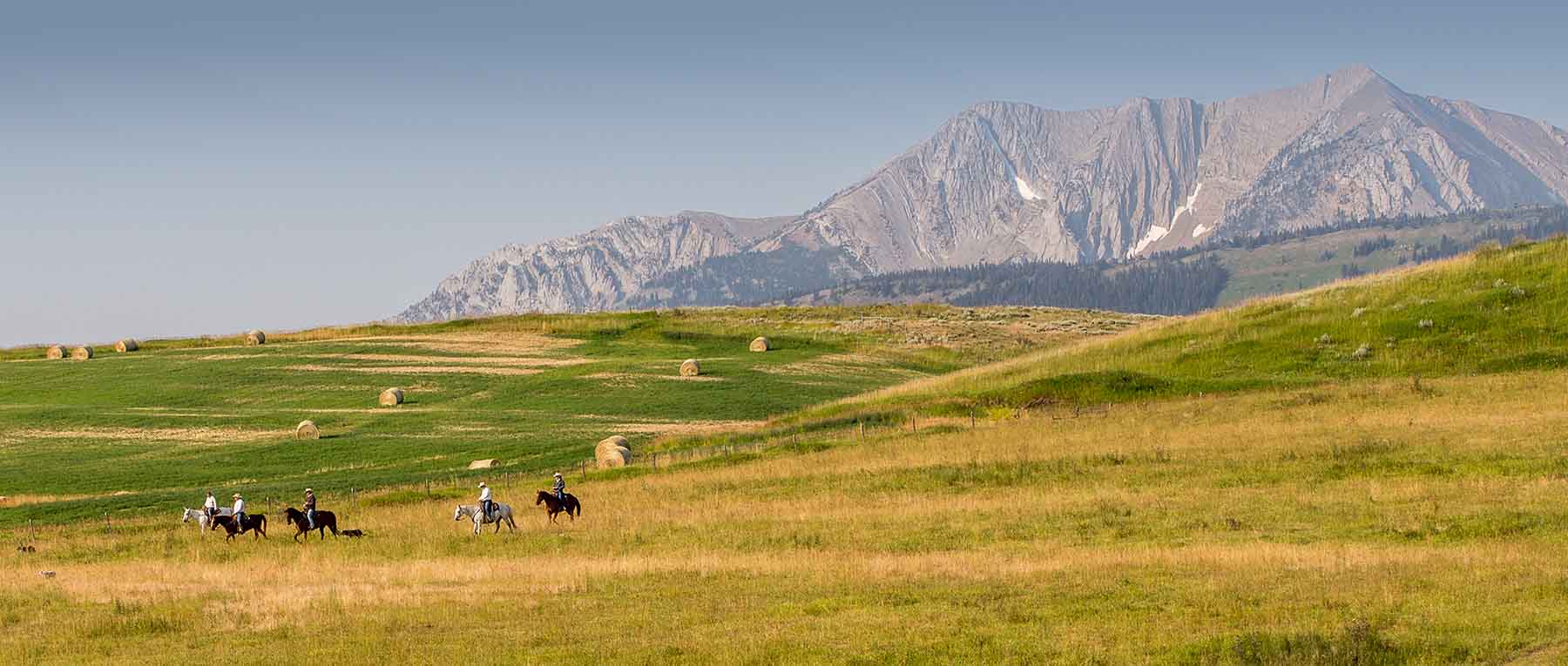 King of Hearts Ranch property picture 2 of 83