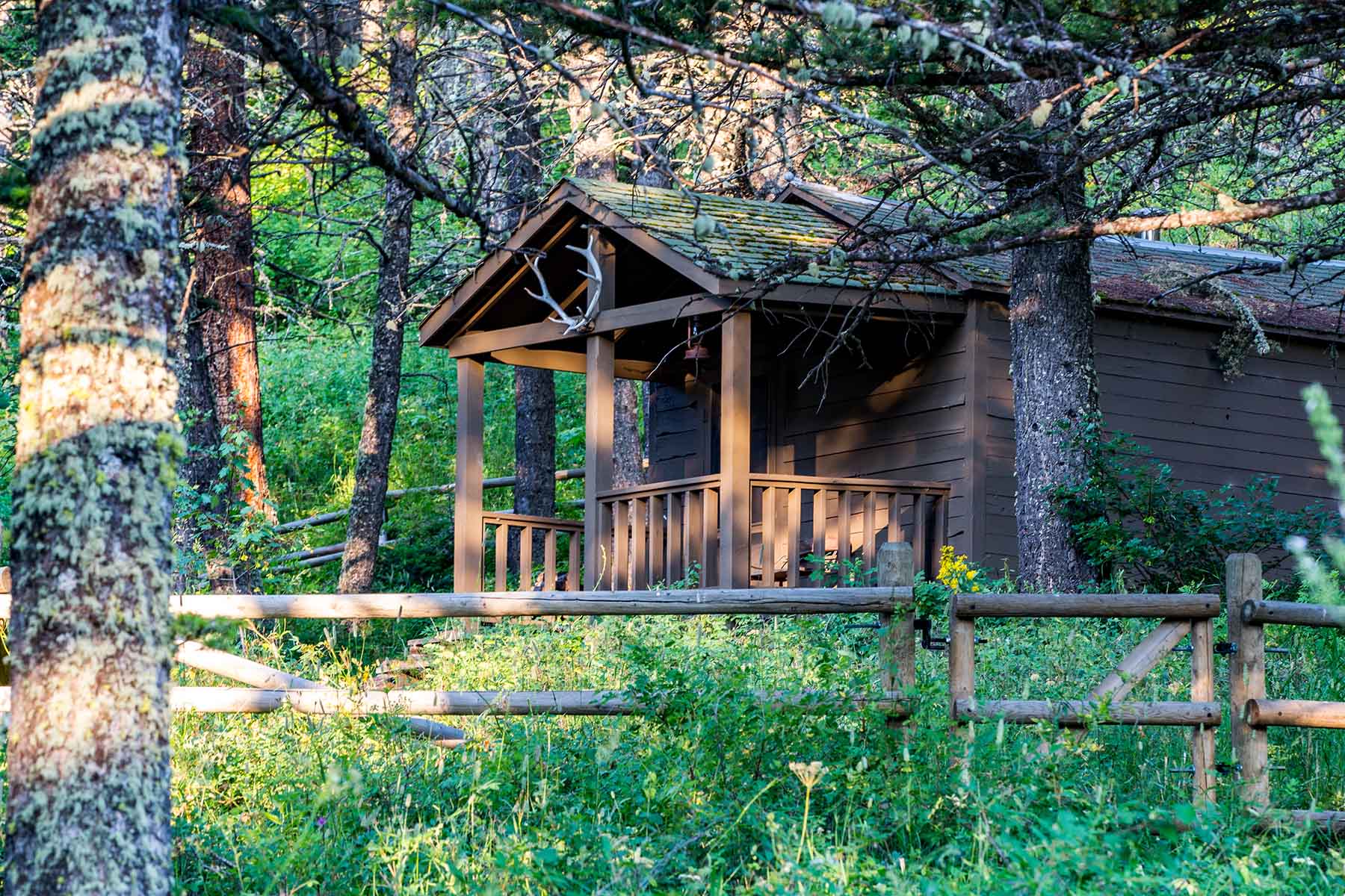 King of Hearts Ranch property picture 53 of 83