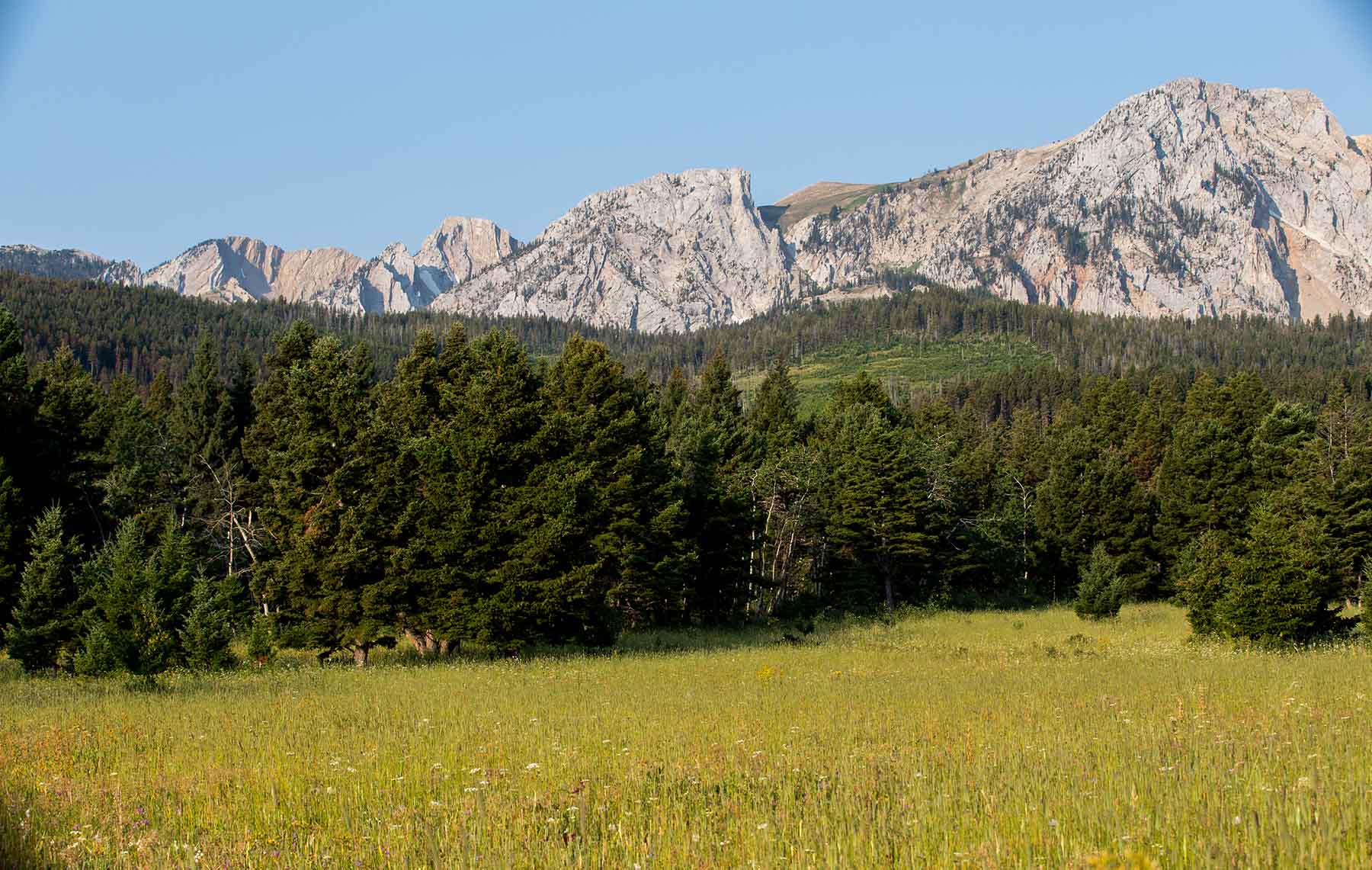 King of Hearts Ranch property picture 56 of 83