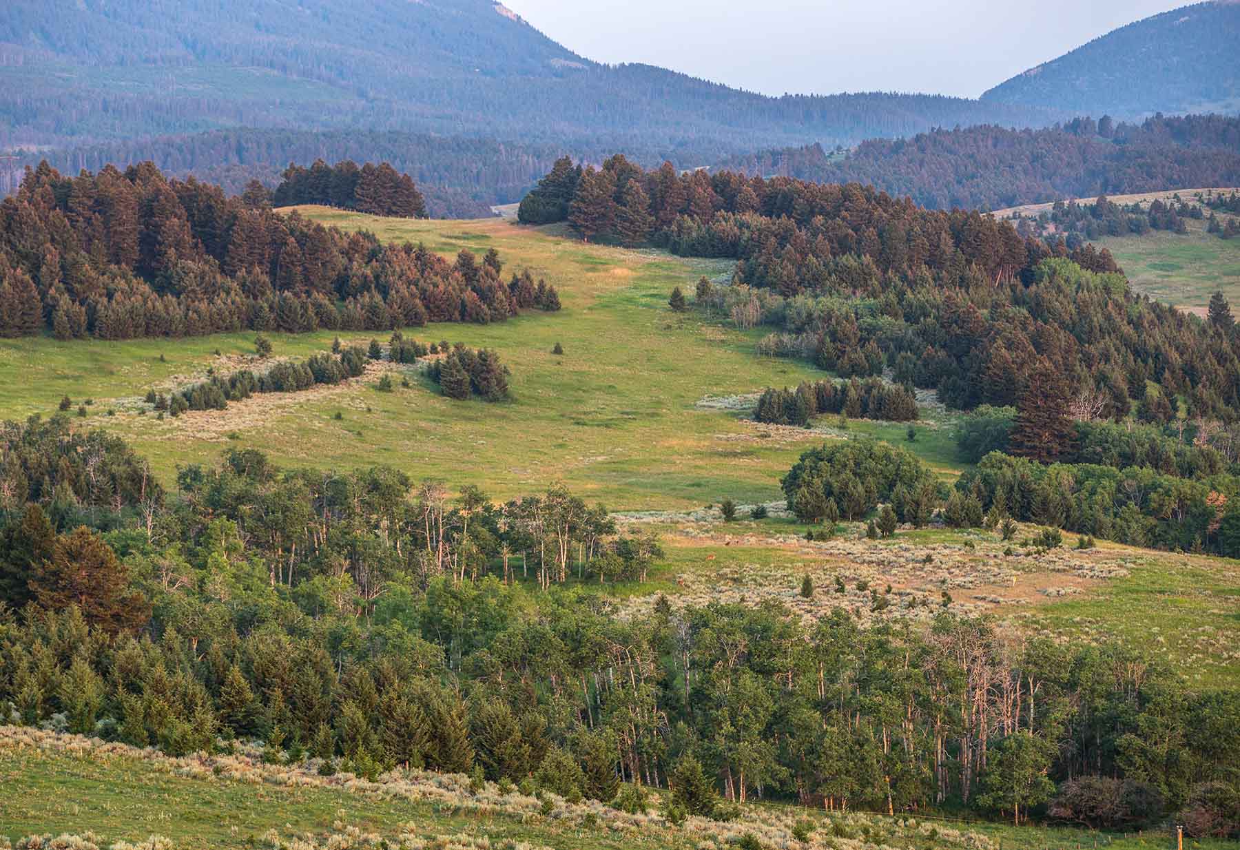 King of Hearts Ranch property picture 9 of 83