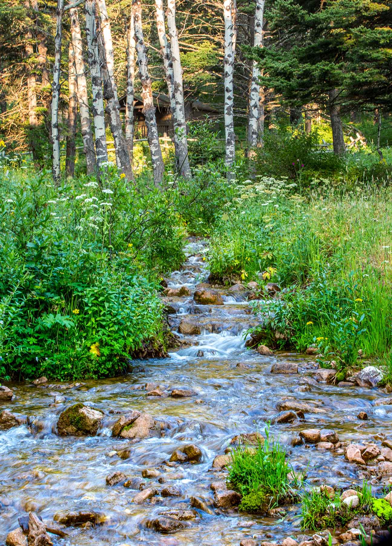King of Hearts Ranch property picture 51 of 83