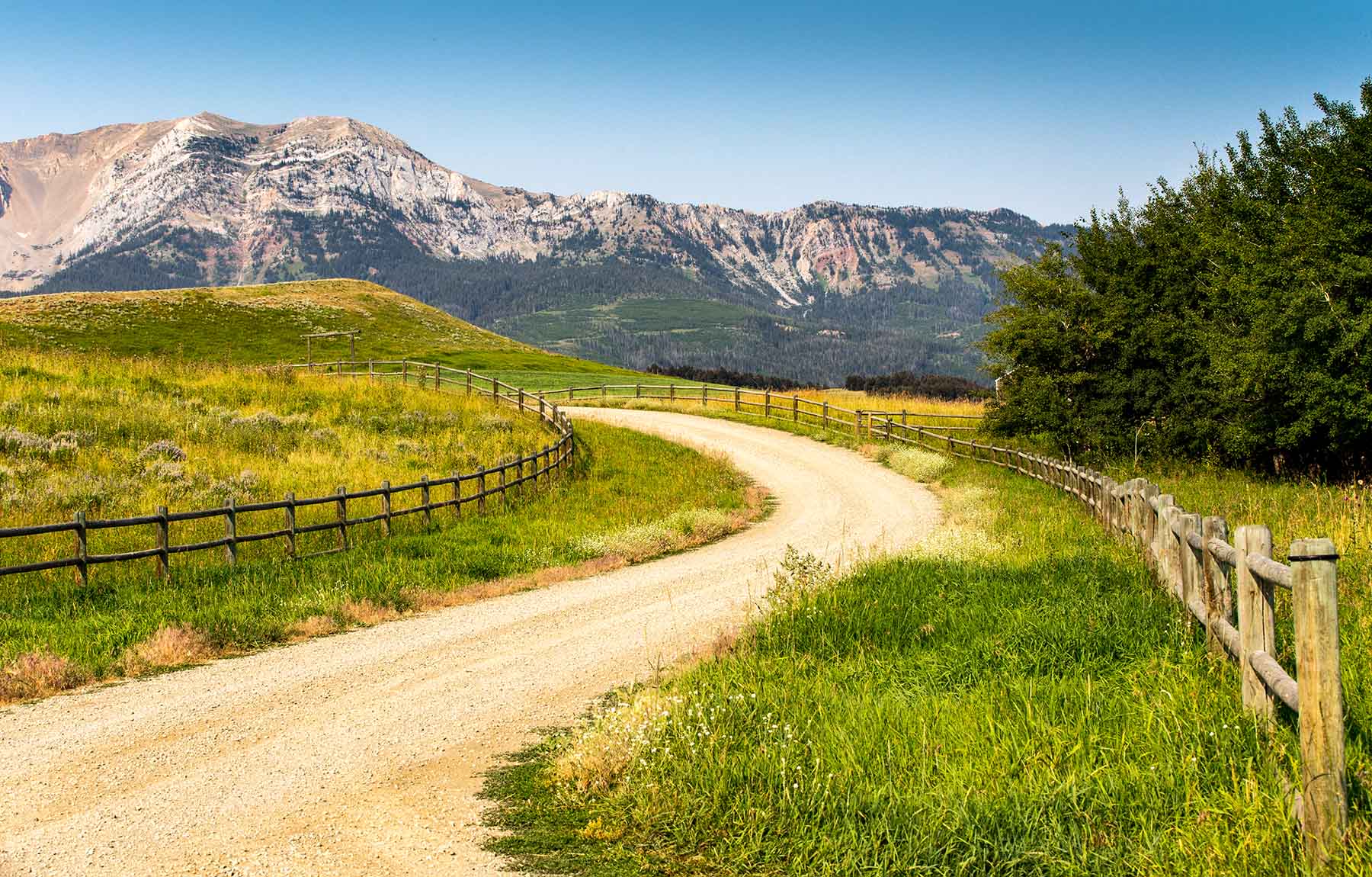 King of Hearts Ranch property picture 57 of 83