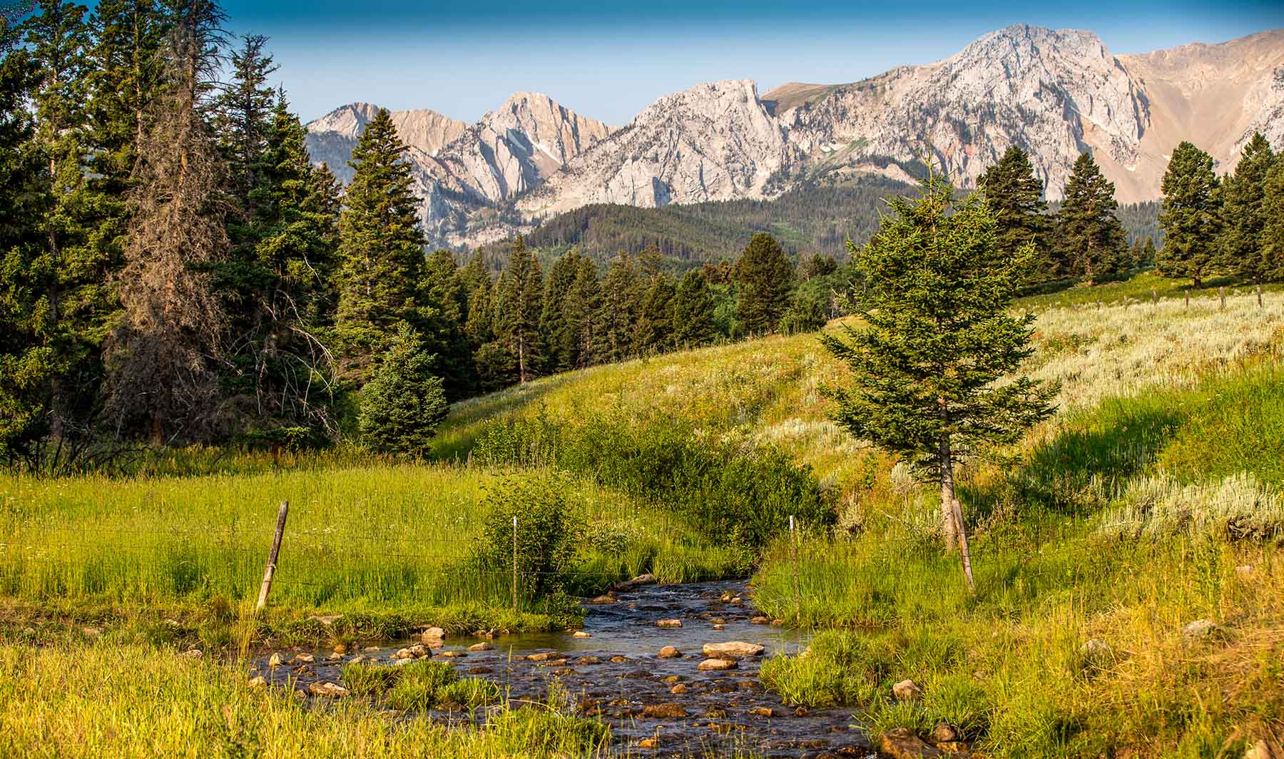 King of Hearts Ranch property picture 6 of 83