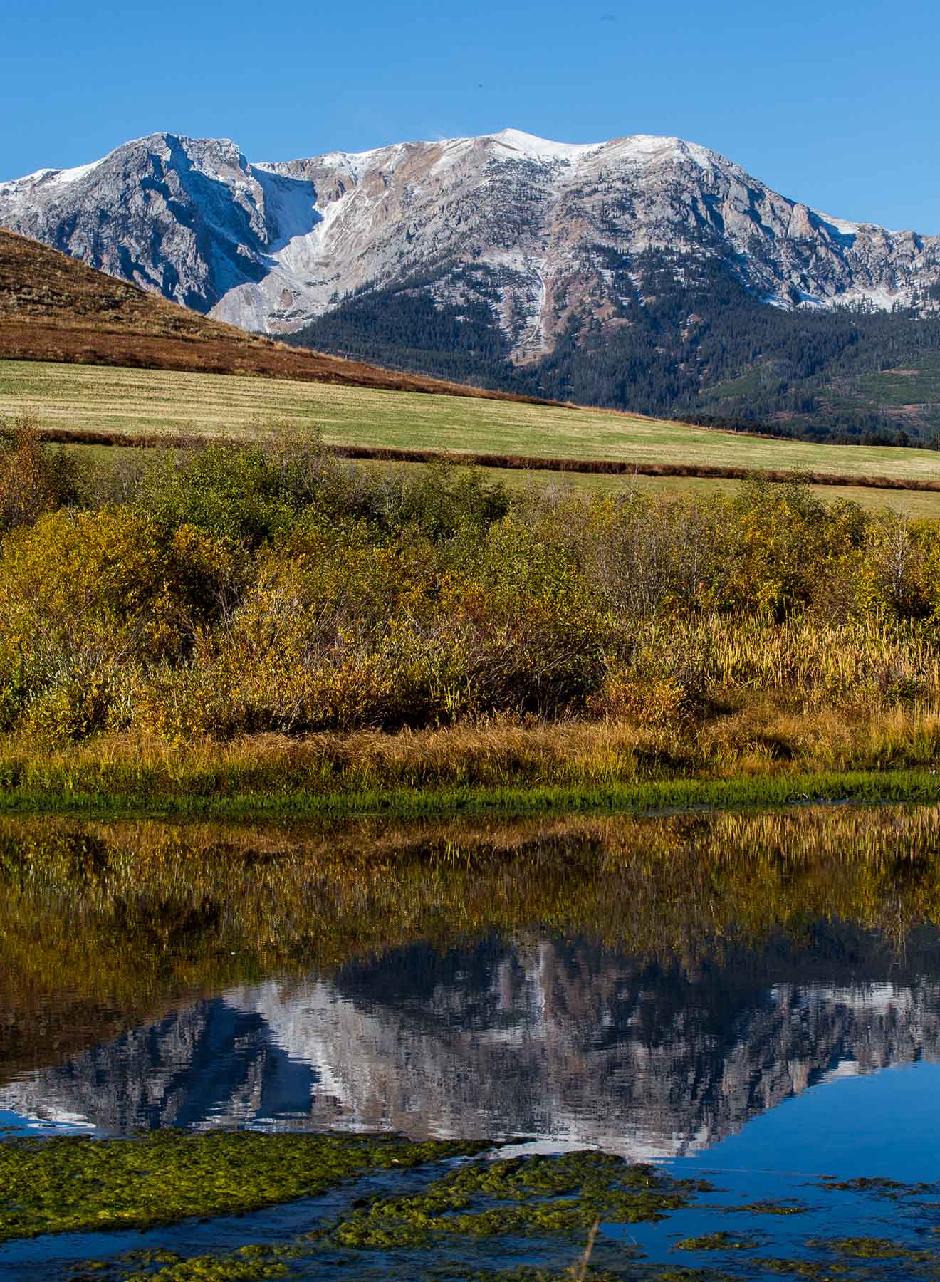 King of Hearts Ranch property picture 44 of 83