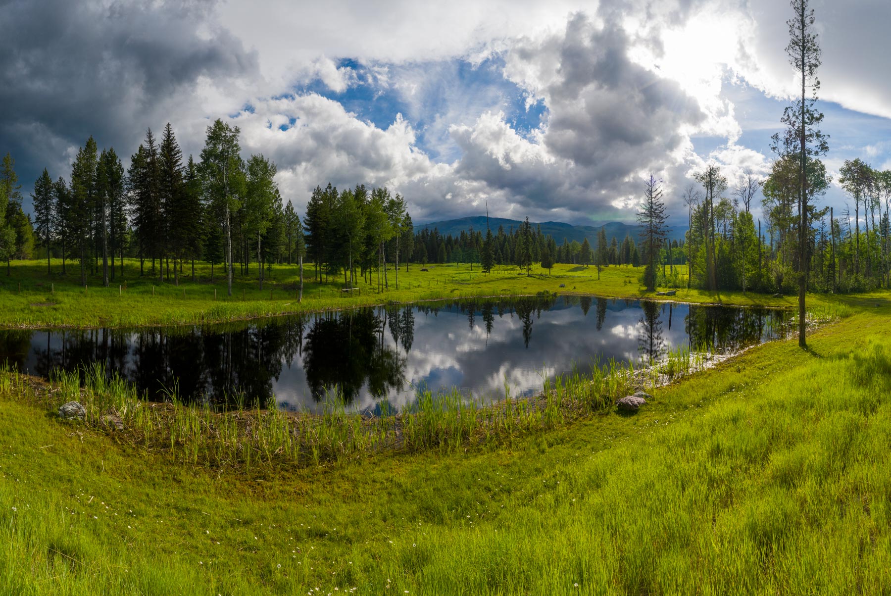 Salmon Prairie Ranch property picture 21 of 66