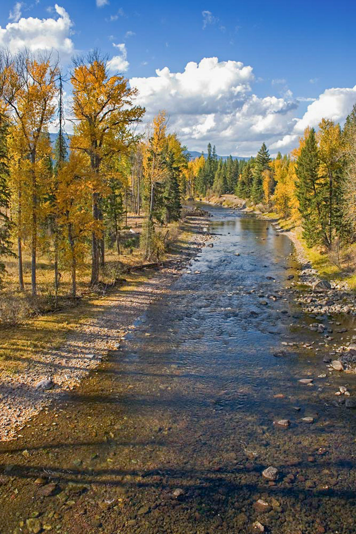 Salmon Prairie Ranch property picture 10 of 66