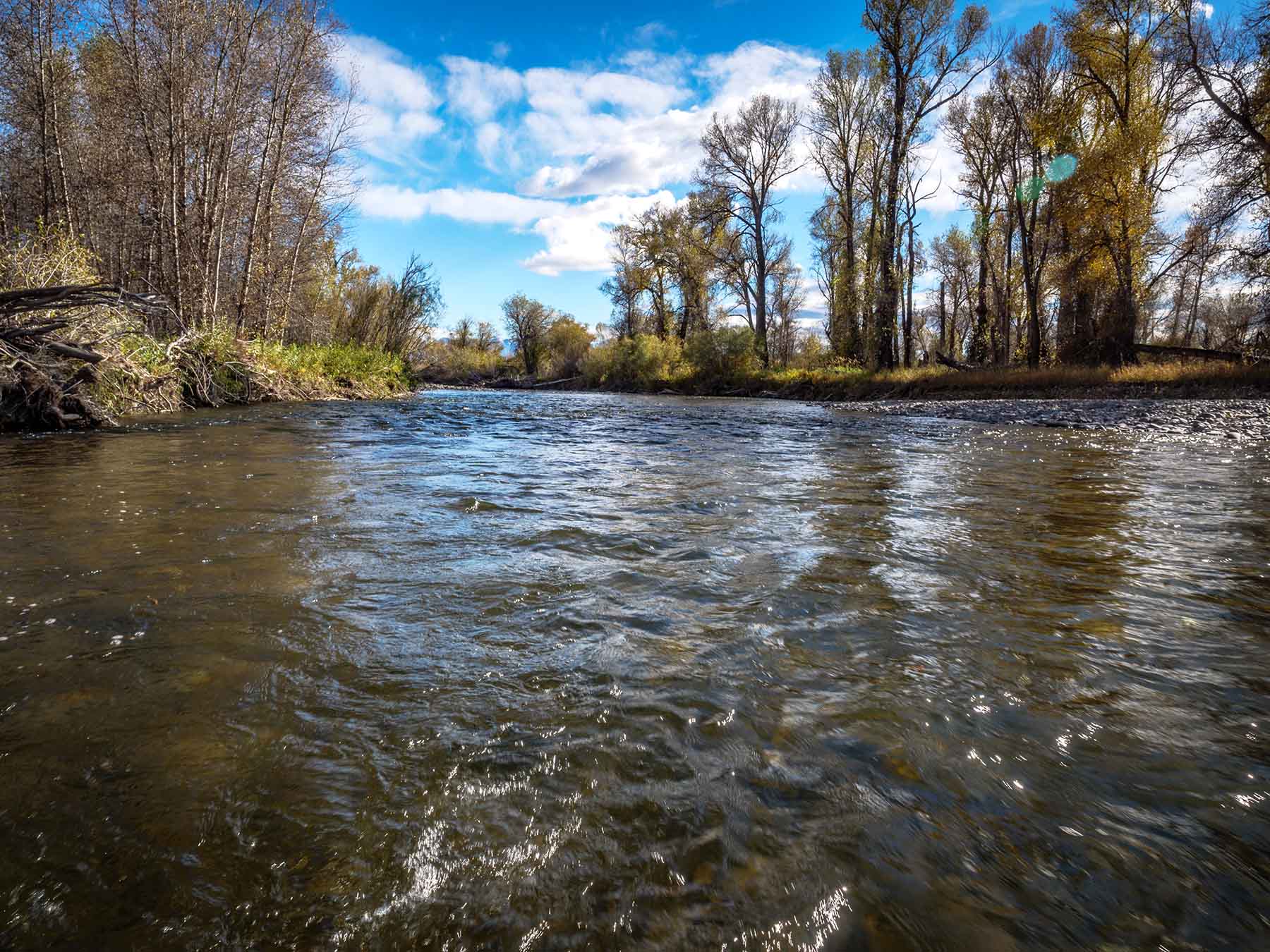 Fish-A-Bit Ranch property picture 87 of 92