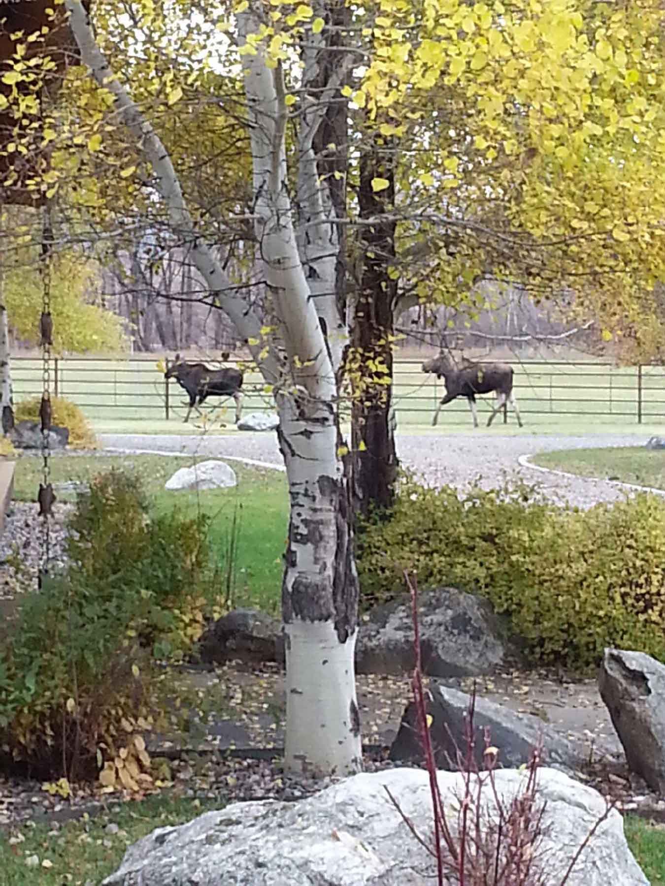 Fish-A-Bit Ranch property picture 71 of 92