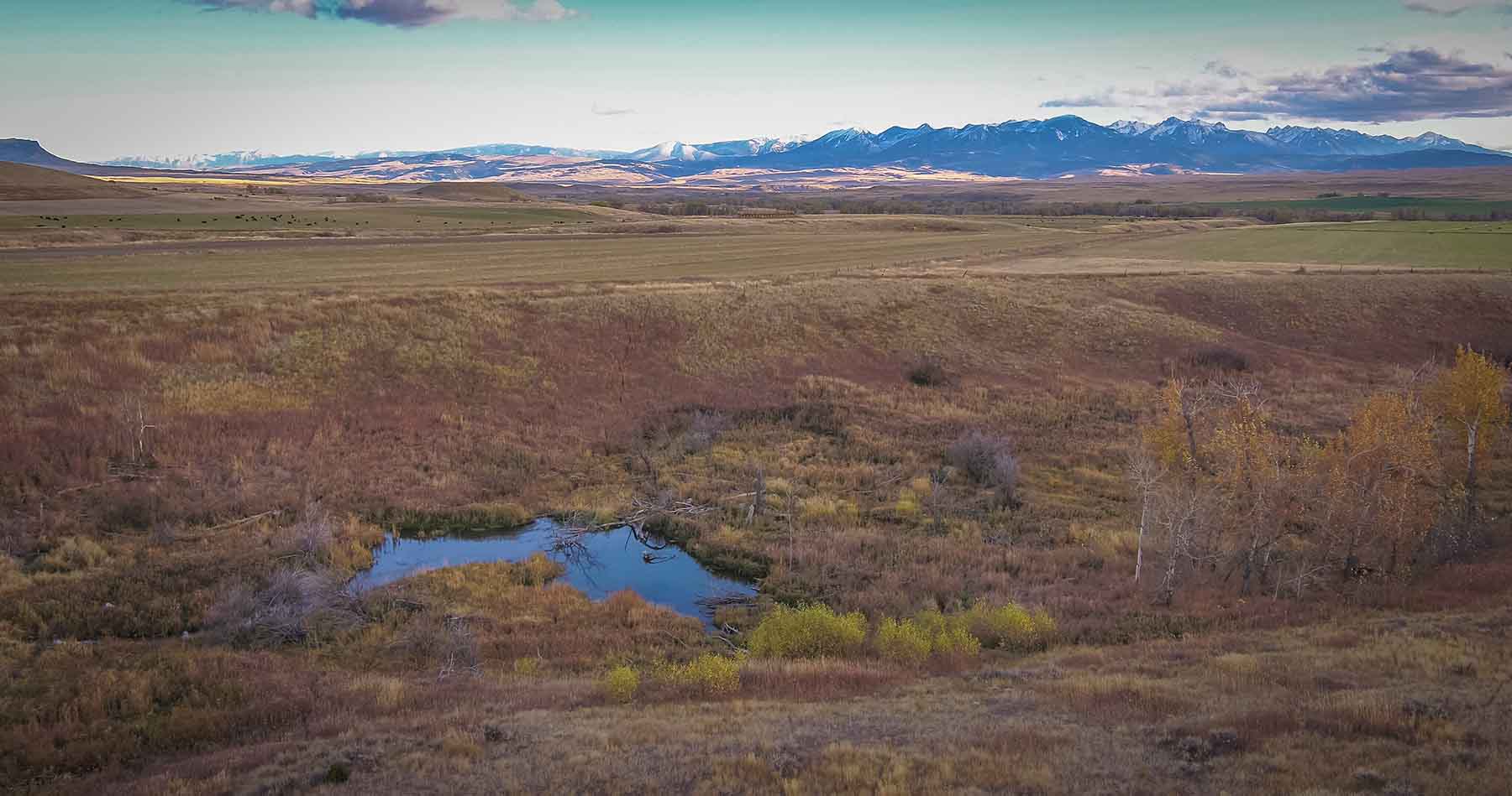 Fish-A-Bit Ranch property picture 86 of 92