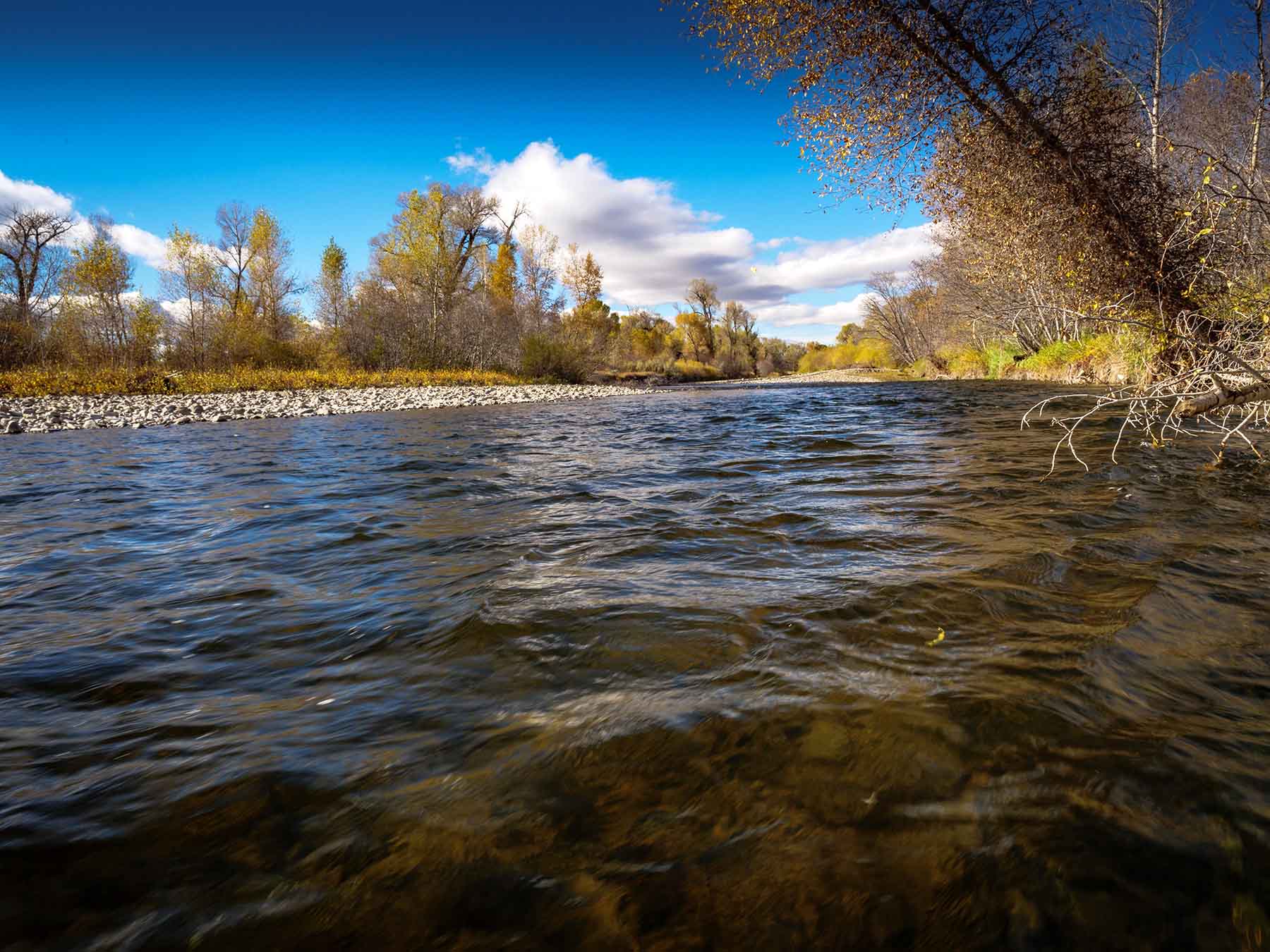 Fish-A-Bit Ranch property picture 88 of 92