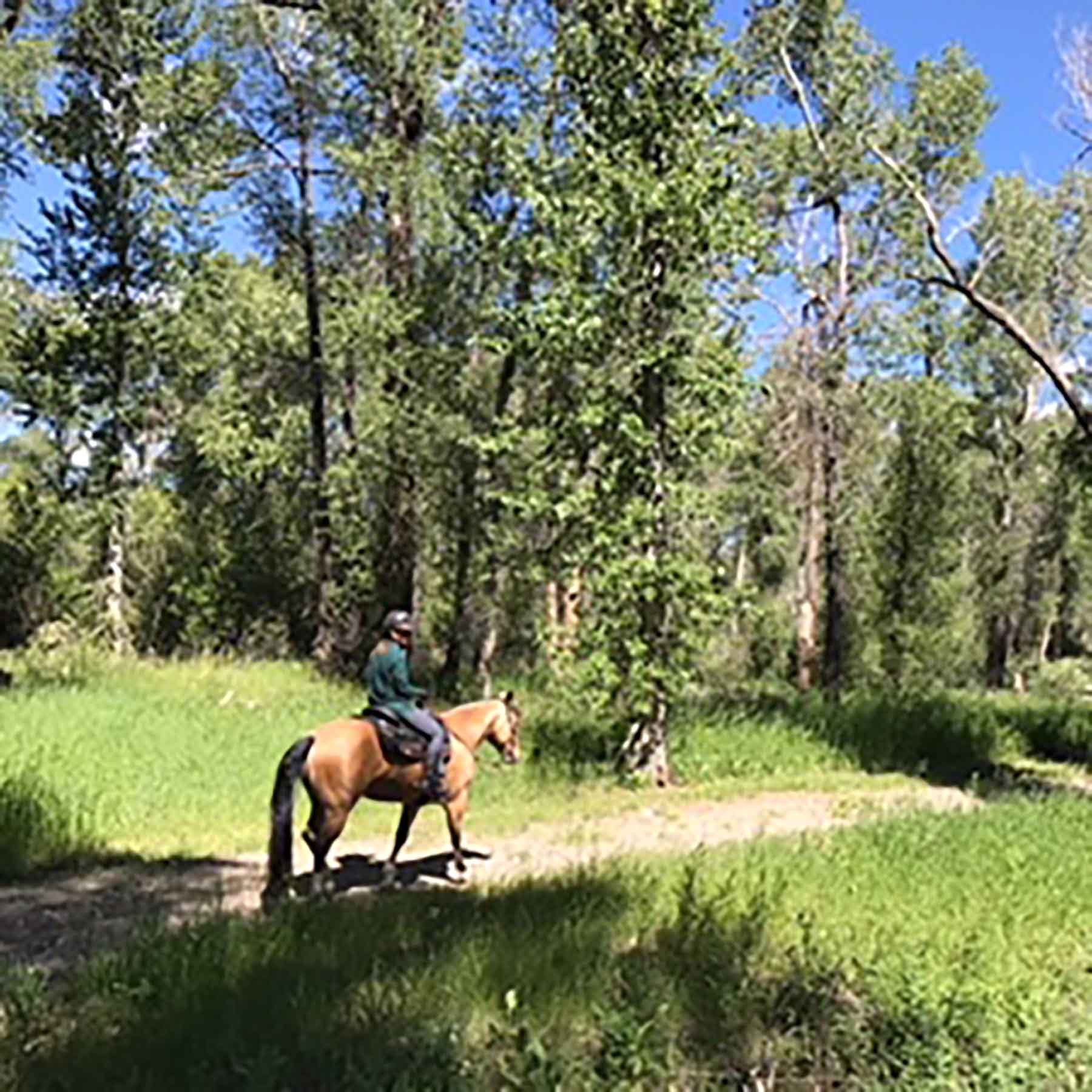 Fish-A-Bit Ranch property picture 69 of 92