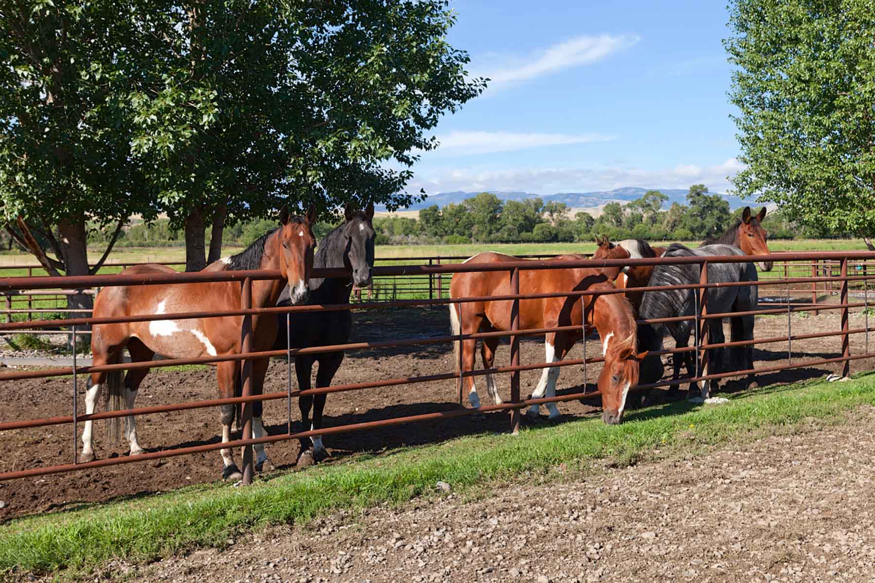 Fish-A-Bit Ranch property picture 53 of 92