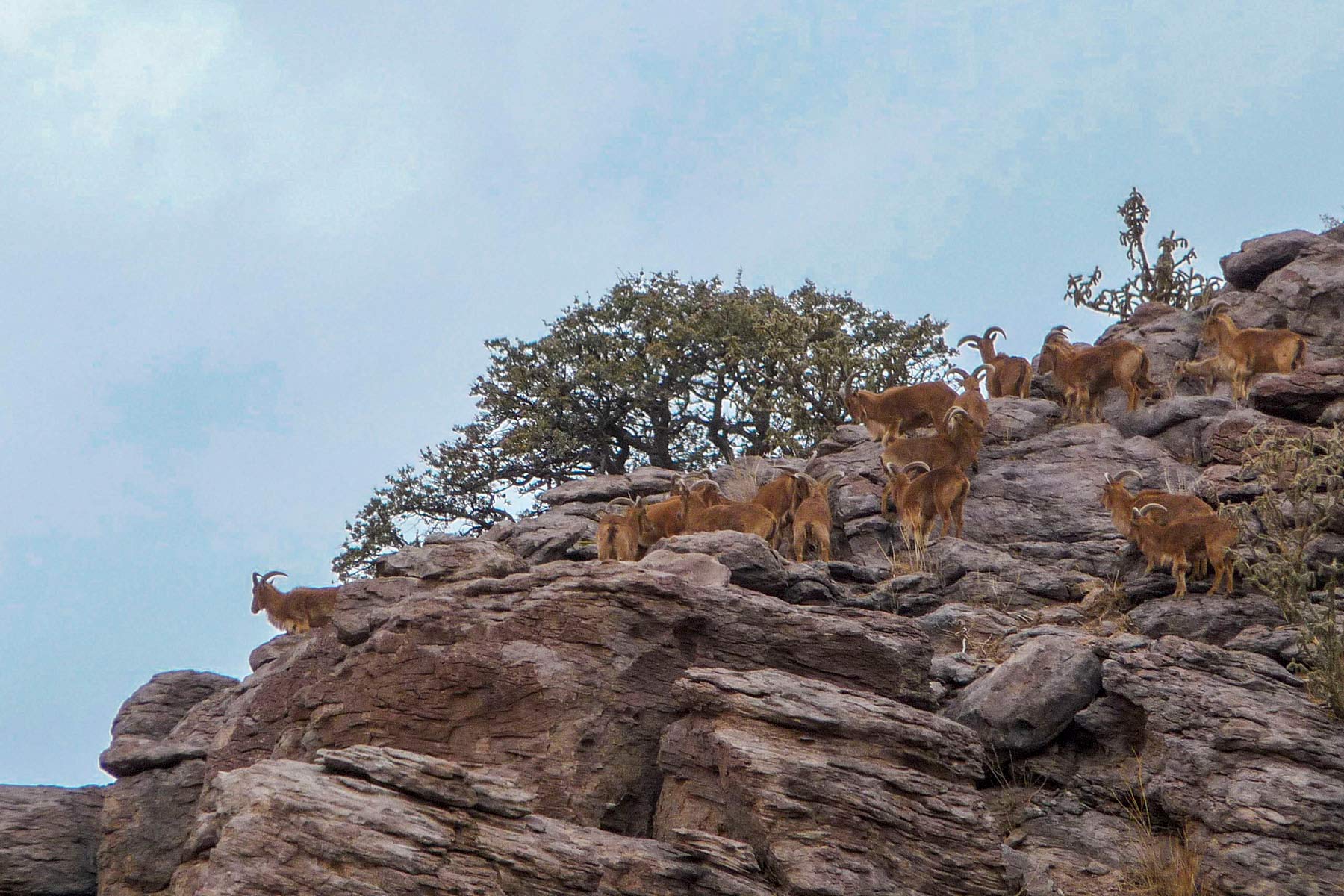 Gearhart Ranch property picture 39 of 68