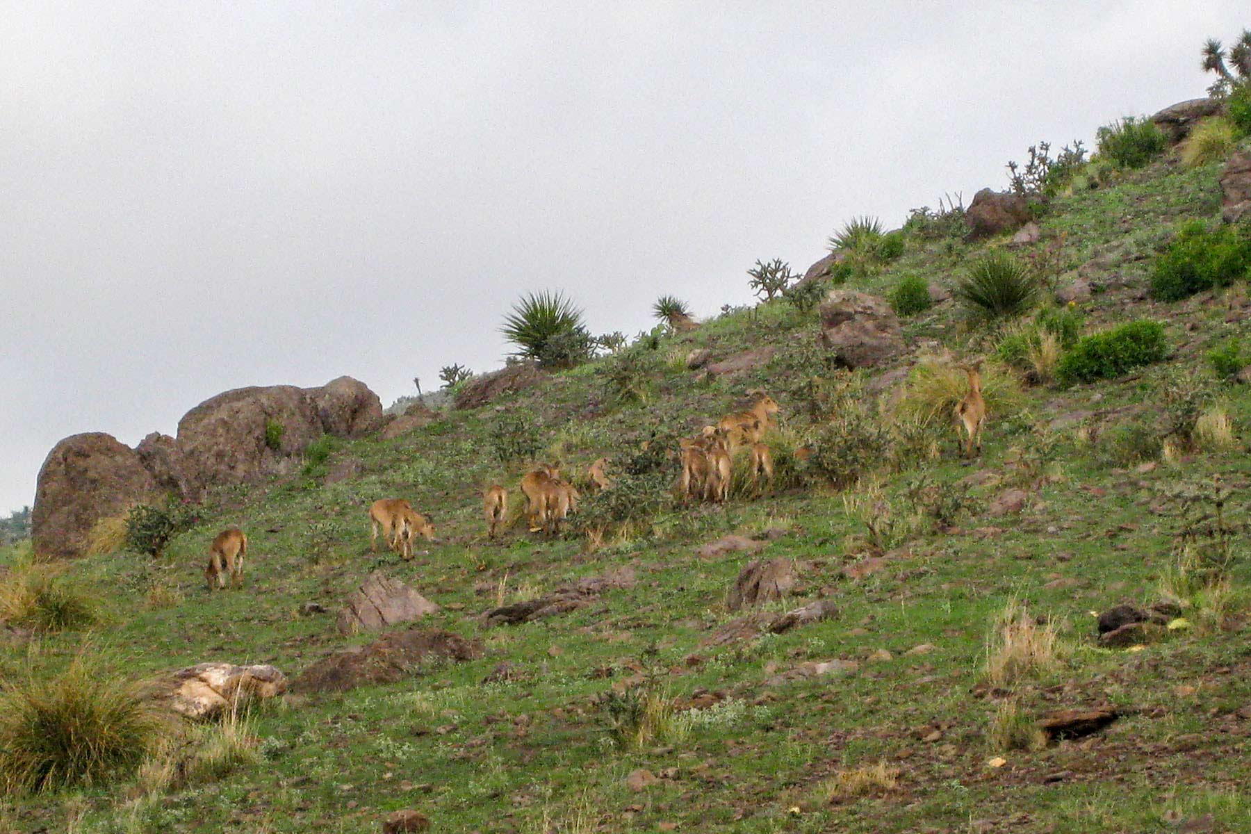 Gearhart Ranch property picture 32 of 68