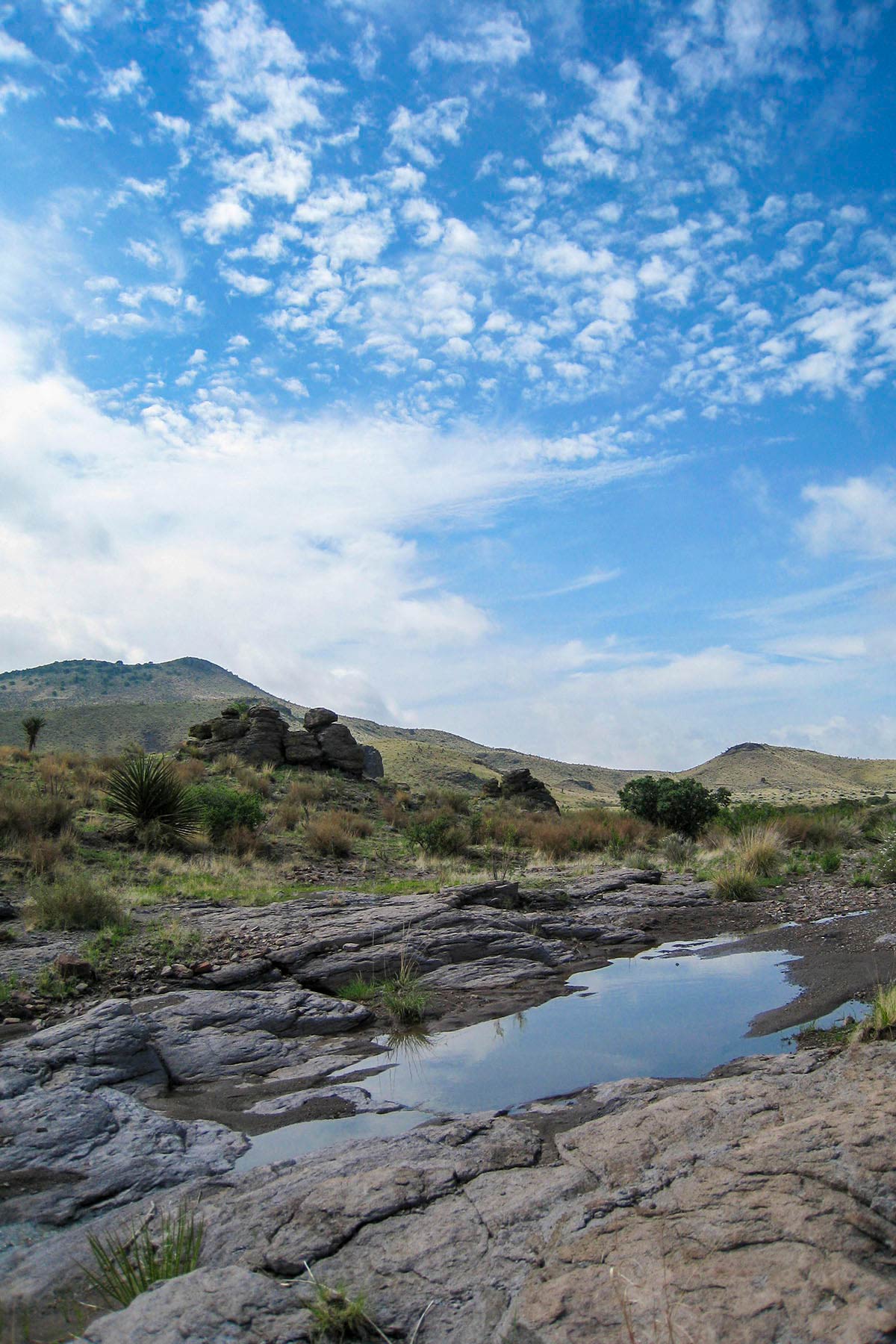 Gearhart Ranch property picture 23 of 68