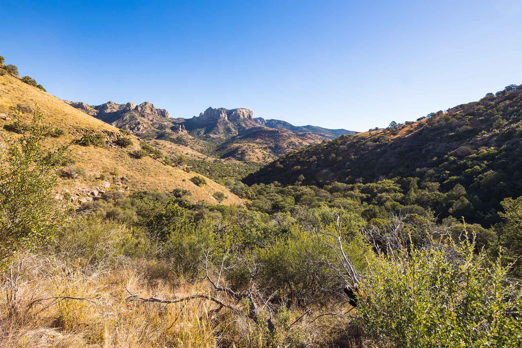 Gearhart Ranch property picture 66 of 68