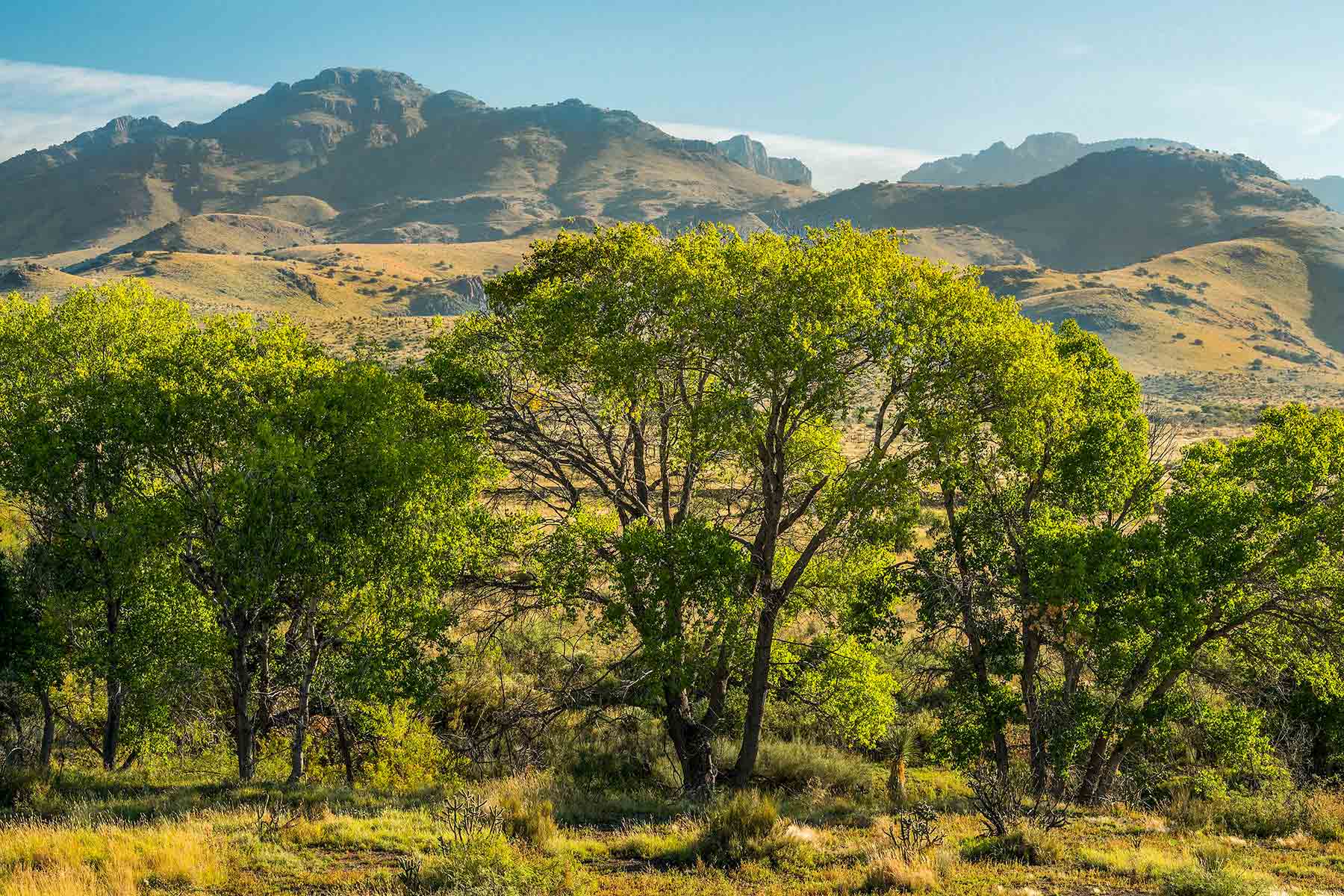 Gearhart Ranch property picture 44 of 68