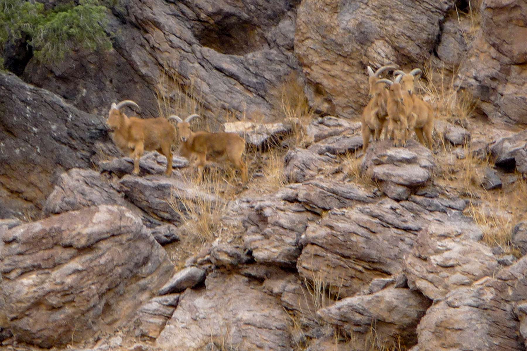 Gearhart Ranch property picture 18 of 68