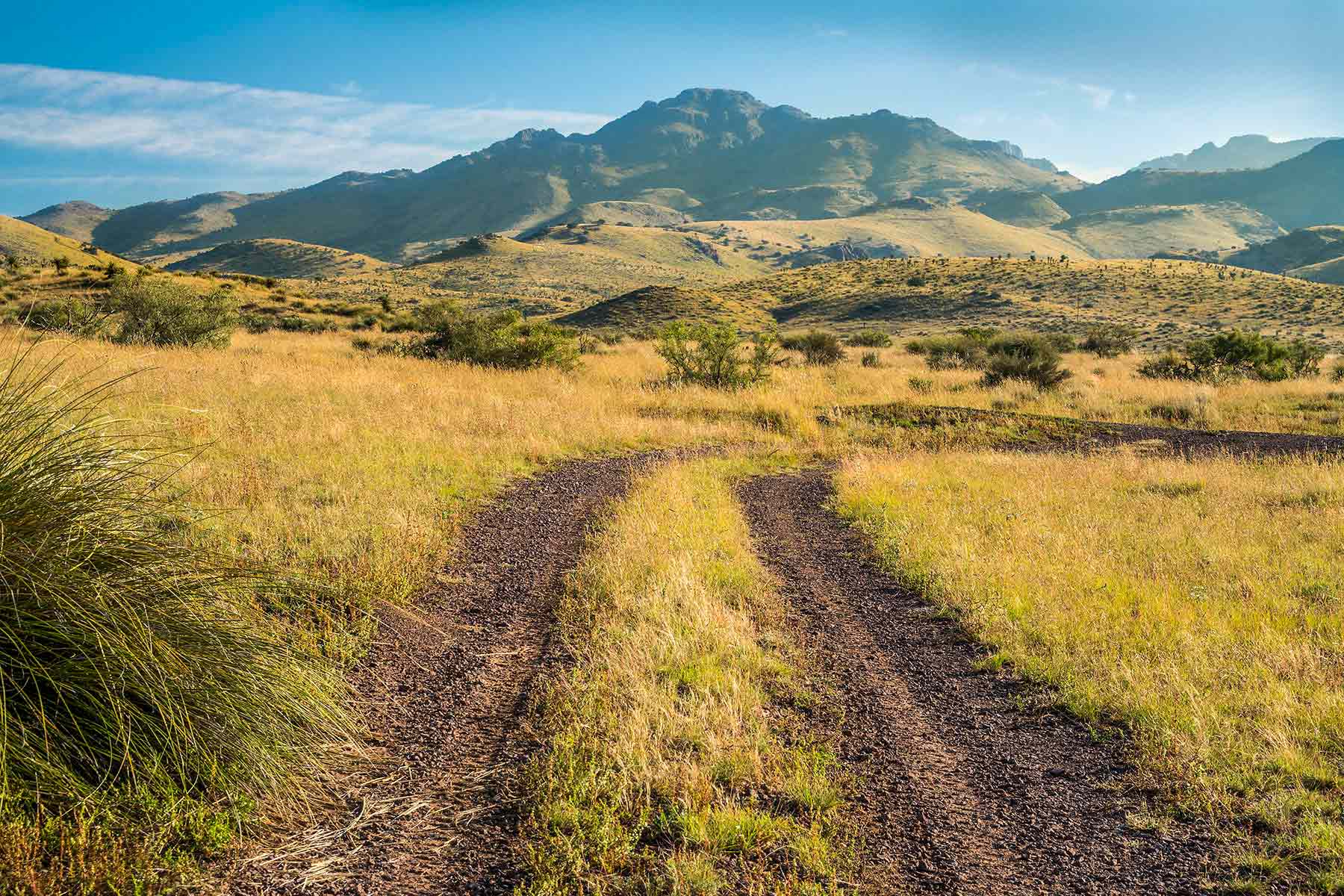 Gearhart Ranch property picture 33 of 68