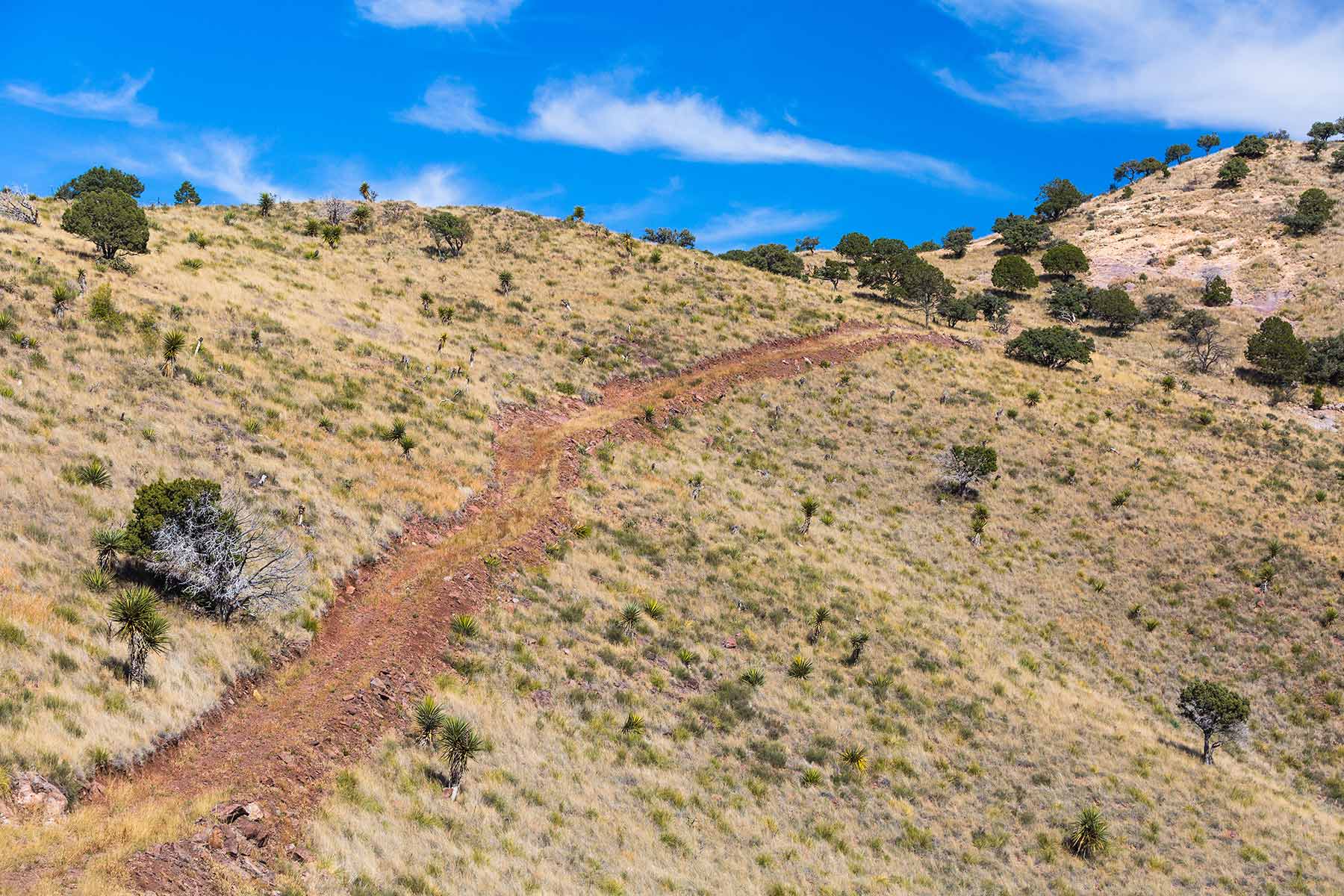 Gearhart Ranch property picture 56 of 68