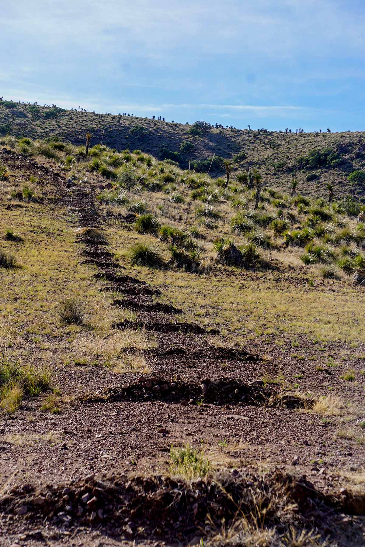 Gearhart Ranch property picture 7 of 68