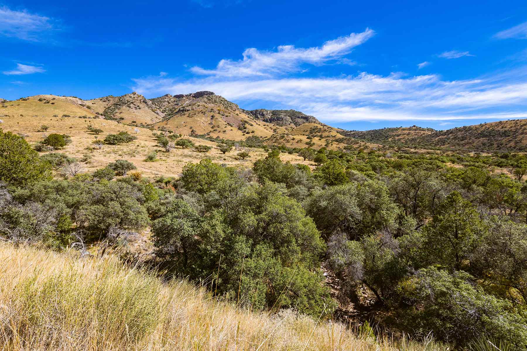 Gearhart Ranch property picture 54 of 68