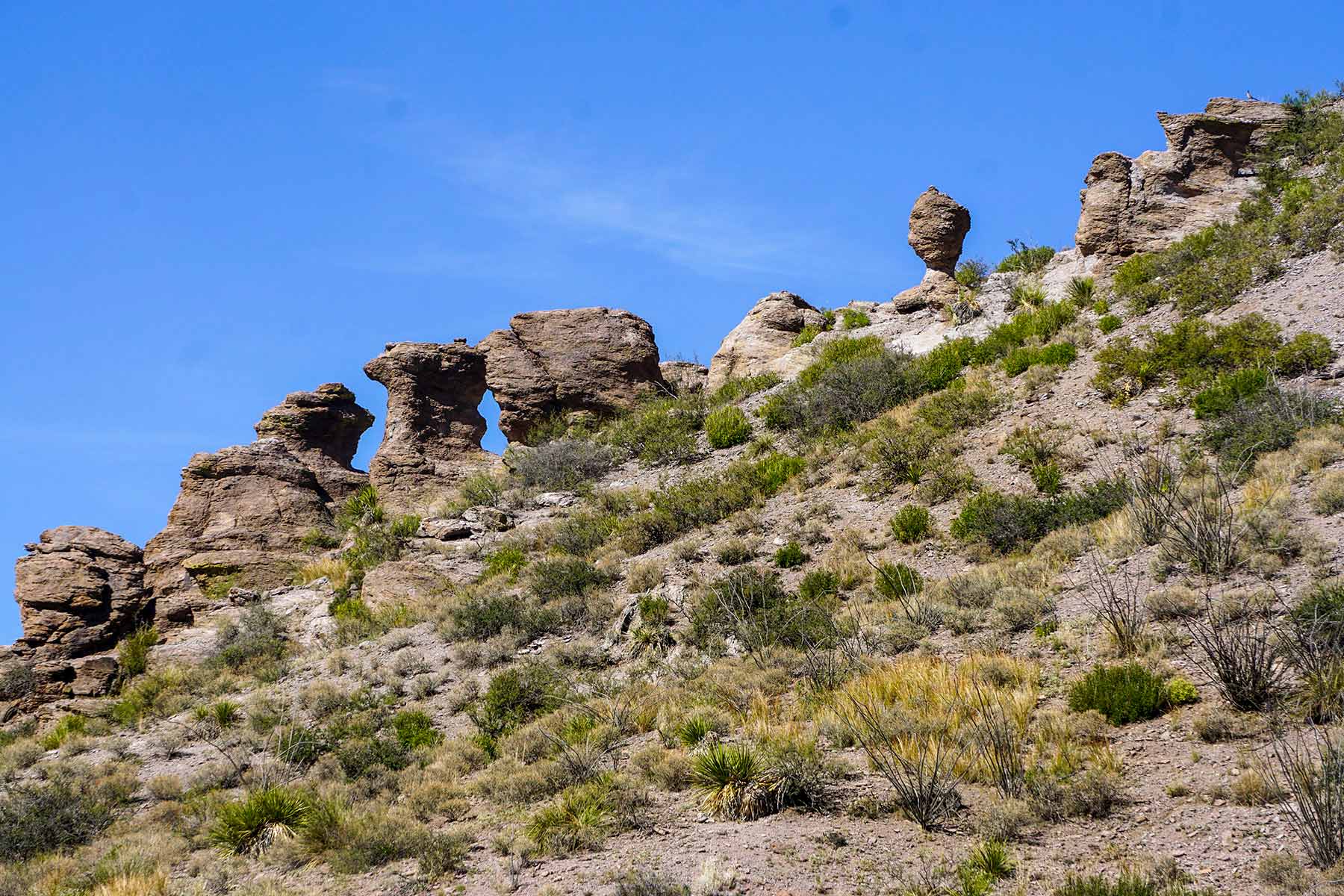 Gearhart Ranch property picture 9 of 68