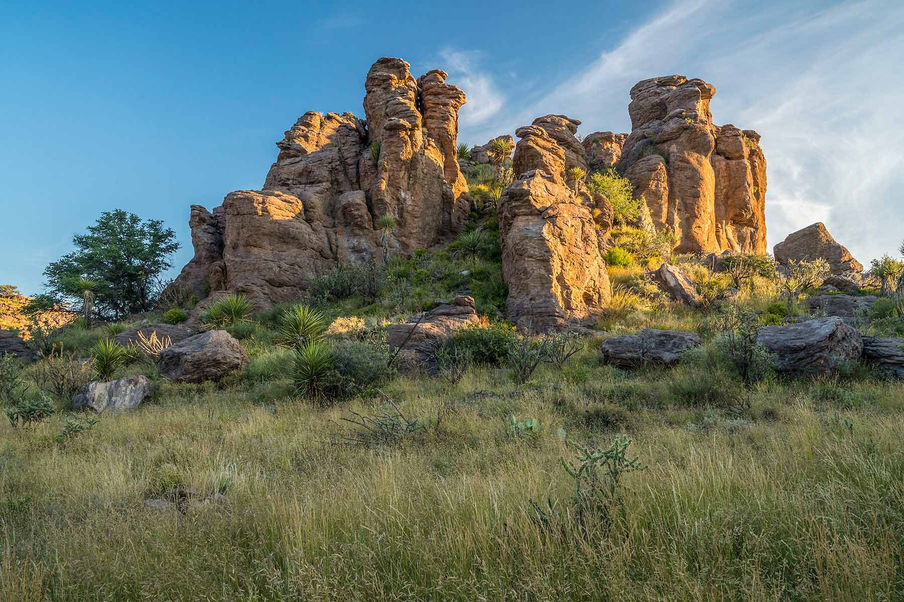 Gearhart Ranch property picture 43 of 68