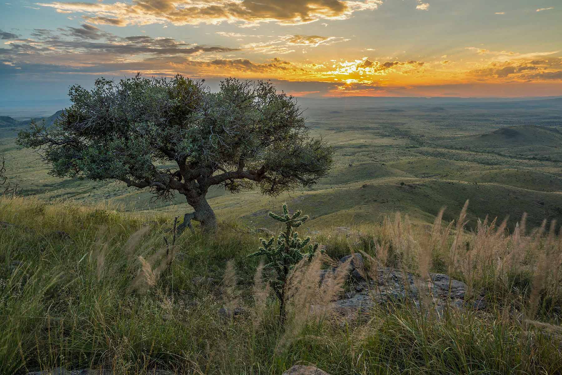 Gearhart Ranch property picture 6 of 68