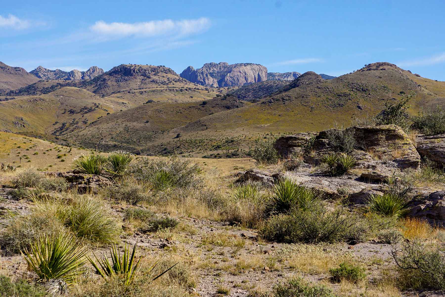 Gearhart Ranch property picture 12 of 68