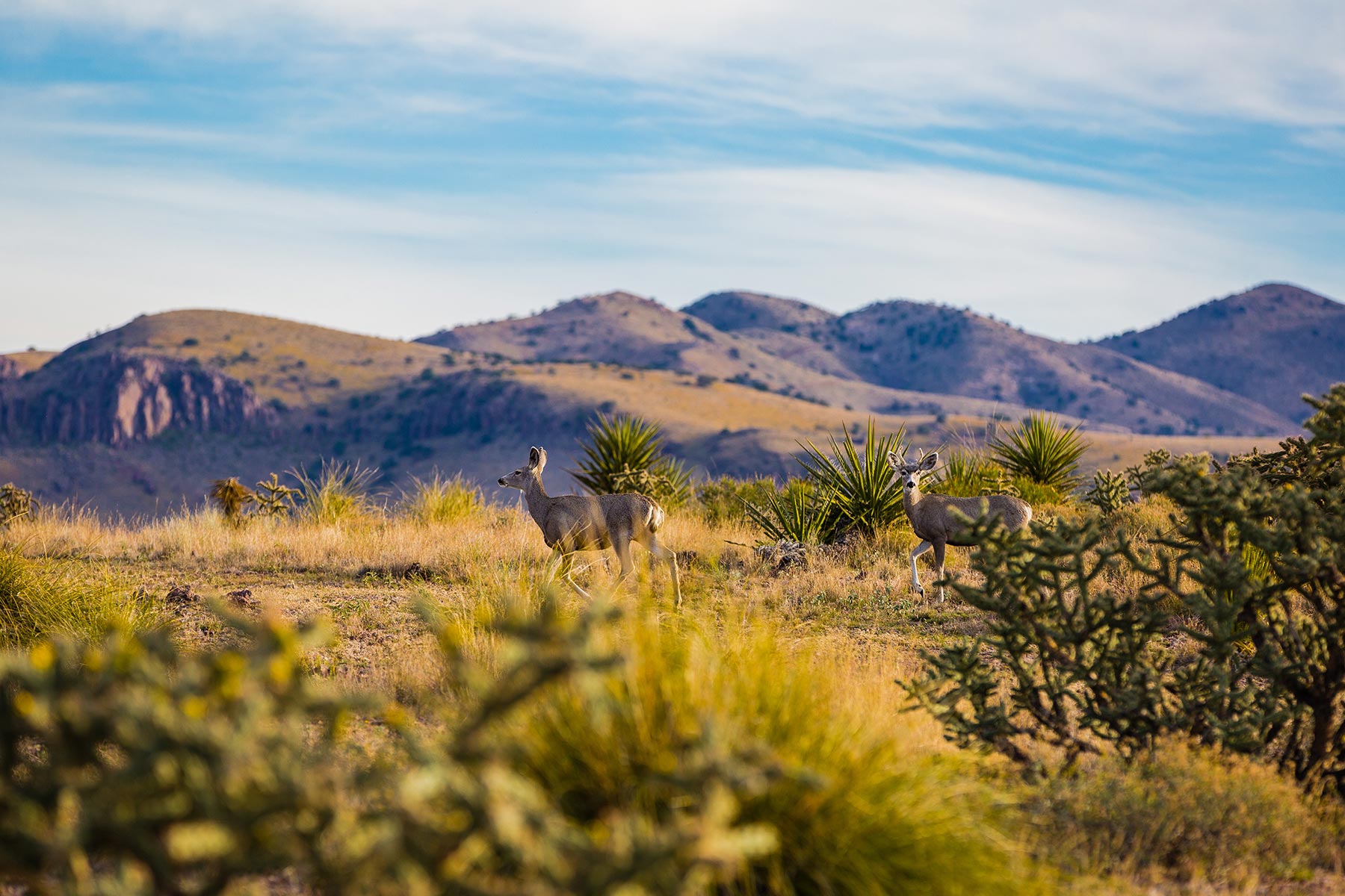 Gearhart Ranch property picture 48 of 68