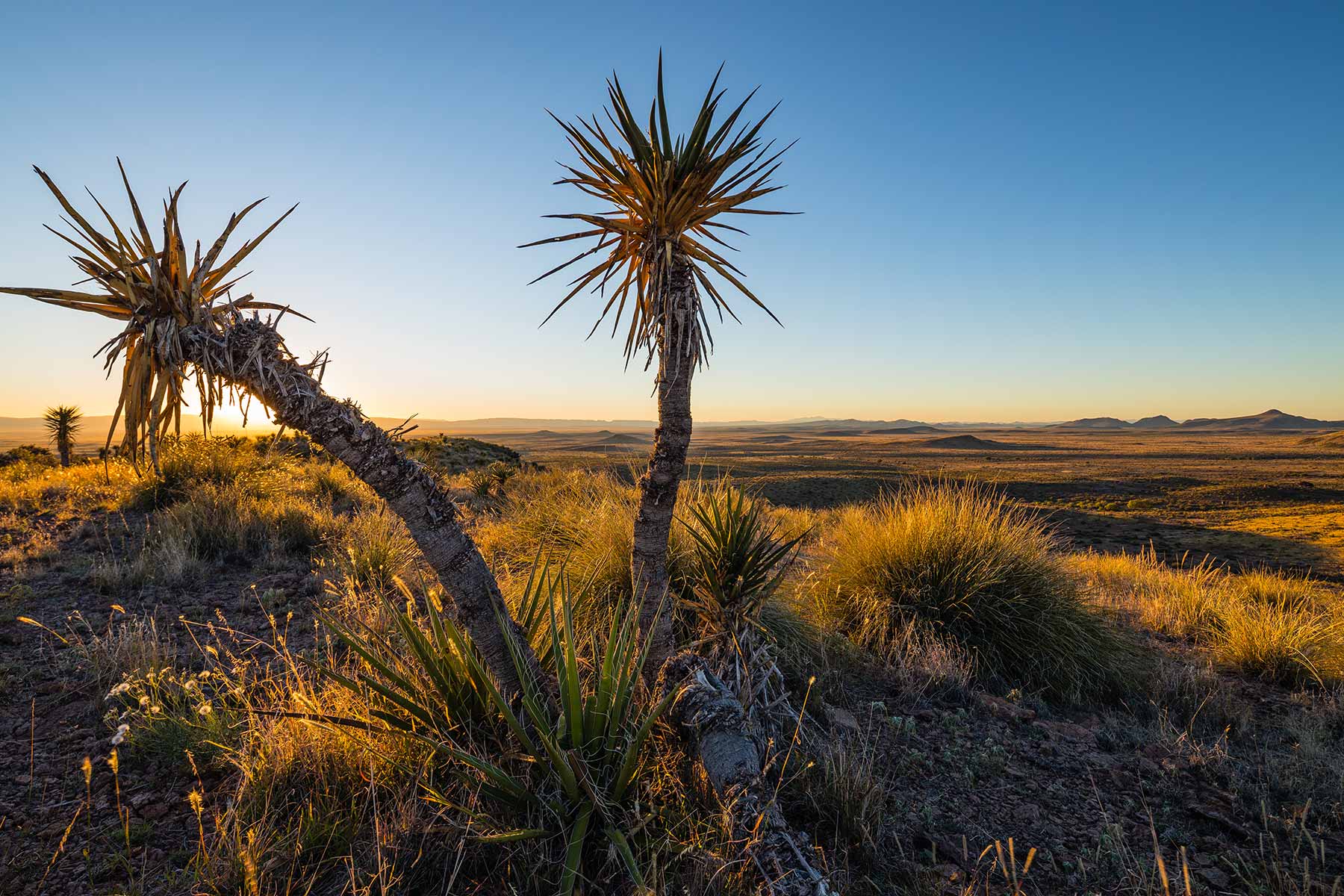 Gearhart Ranch property picture 58 of 68