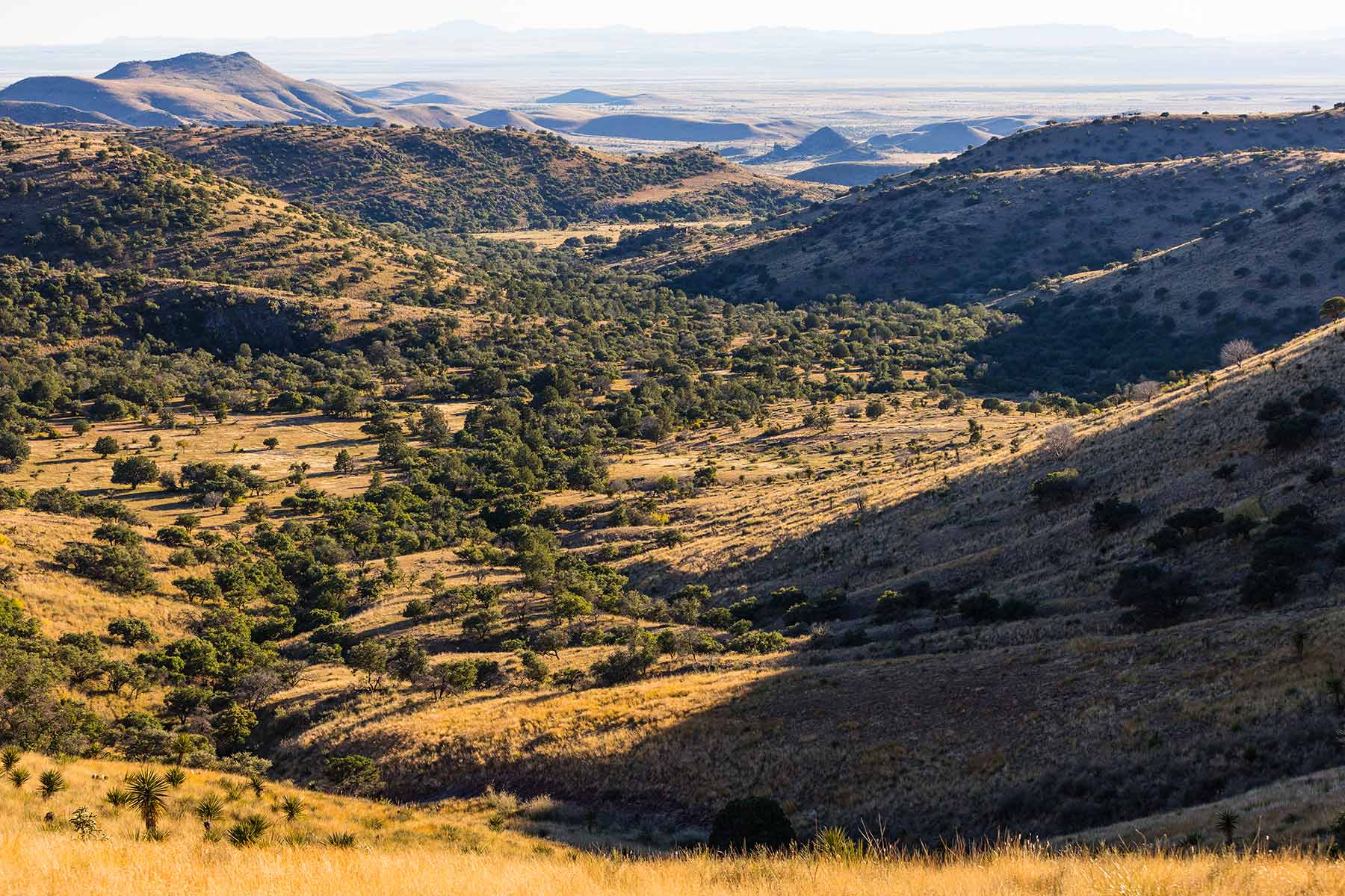 Gearhart Ranch property picture 5 of 68