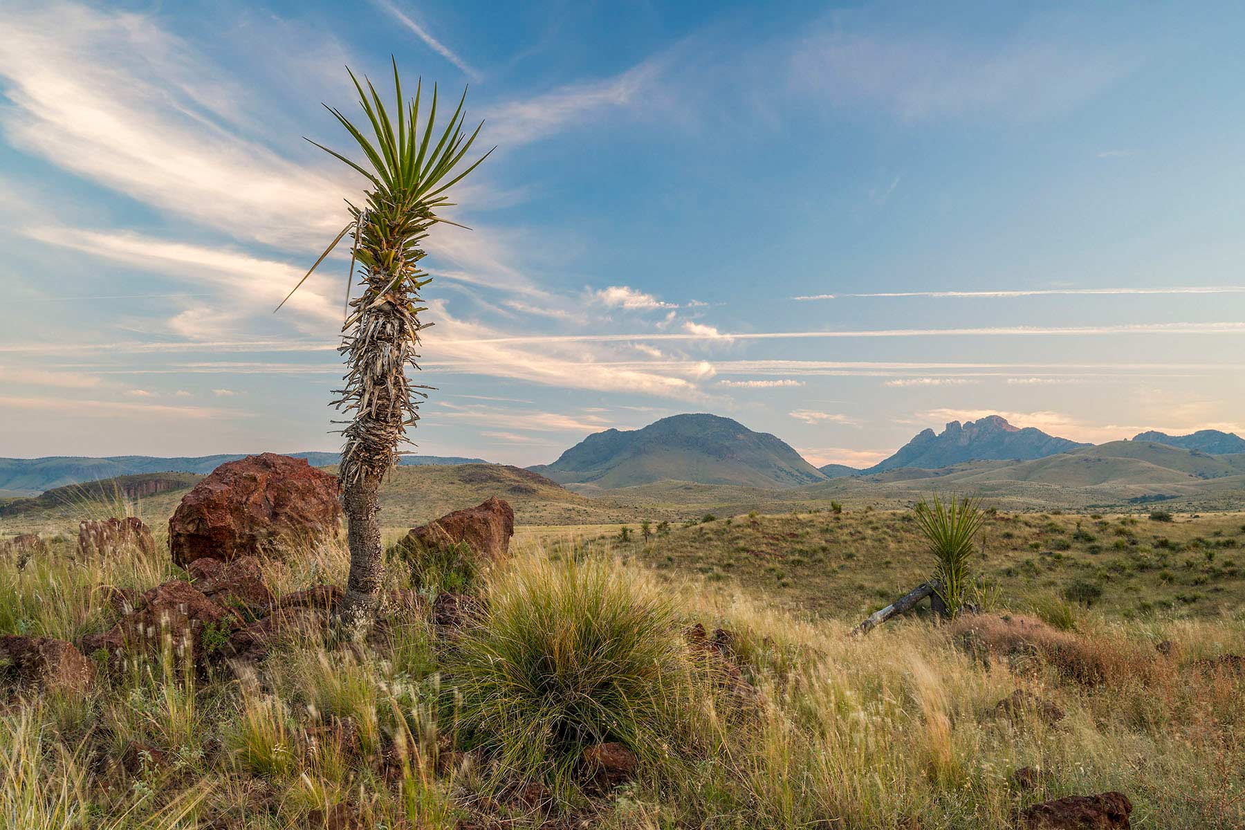 Gearhart Ranch property picture 45 of 68