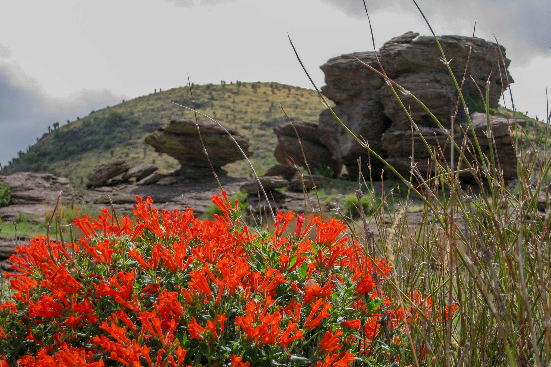 Gearhart Ranch property picture 10 of 68