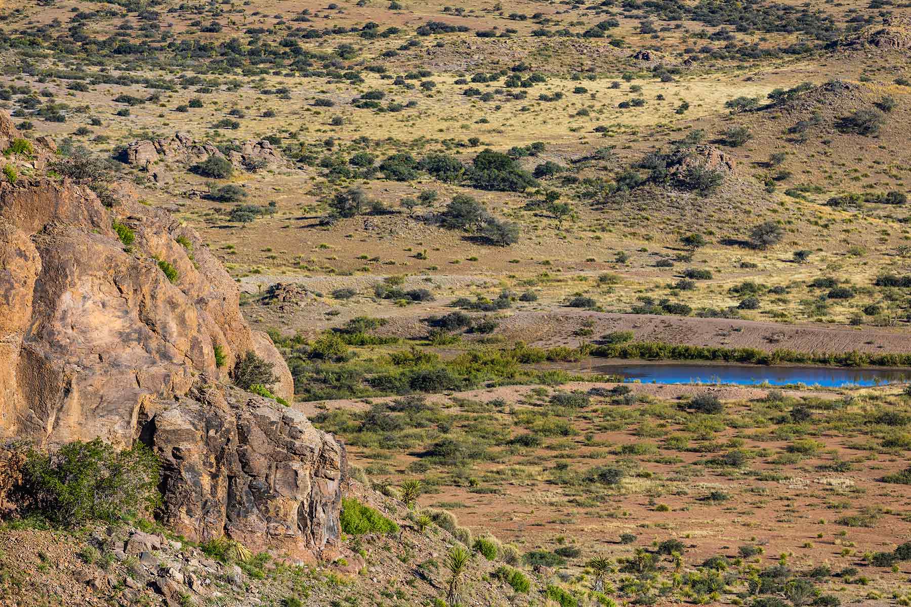 Gearhart Ranch property picture 64 of 68