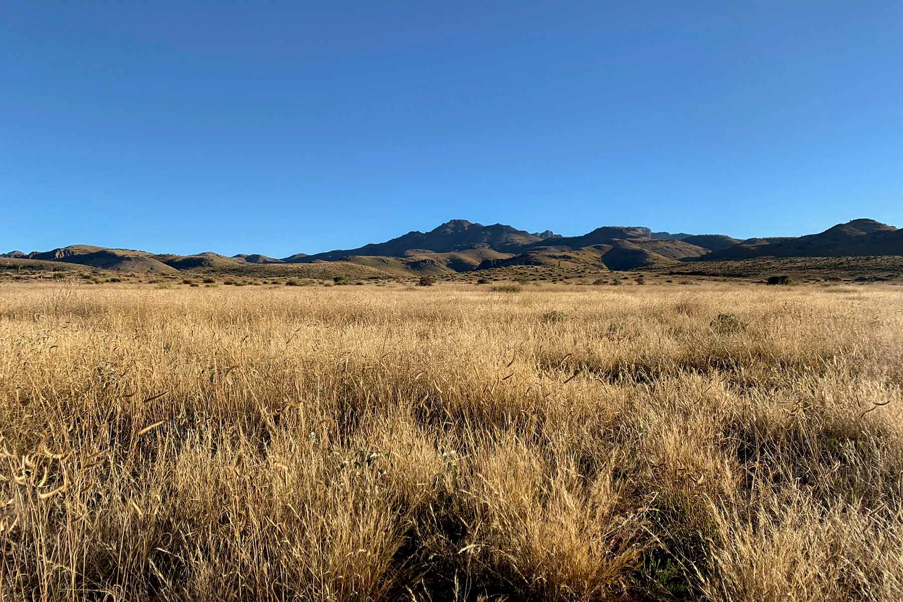 Gearhart Ranch property picture 24 of 68