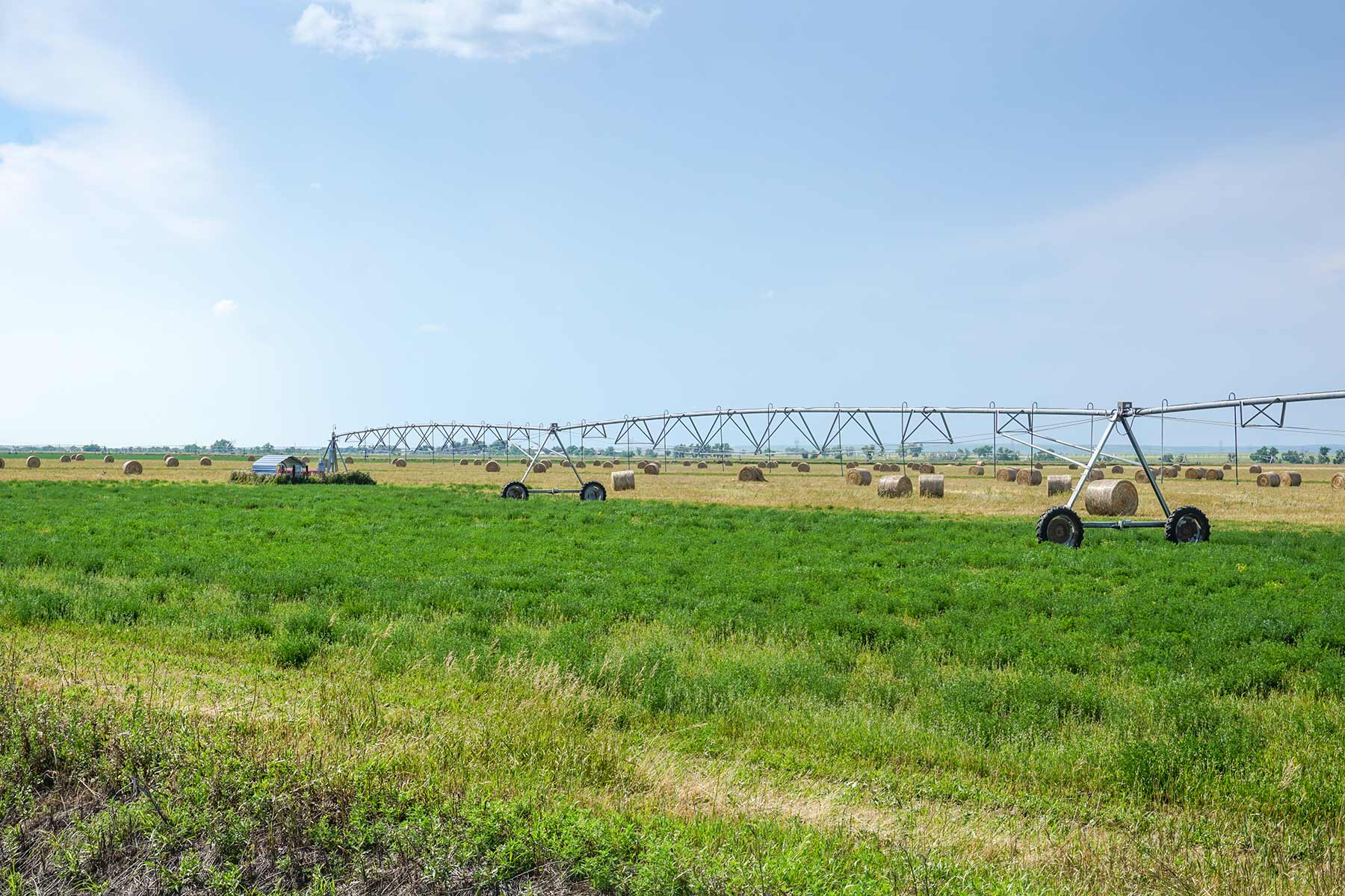 Whitney Lake Farm property picture 16 of 20