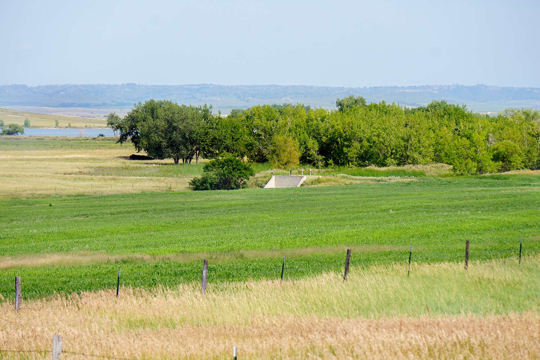 Whitney Lake Farm property picture 7 of 20