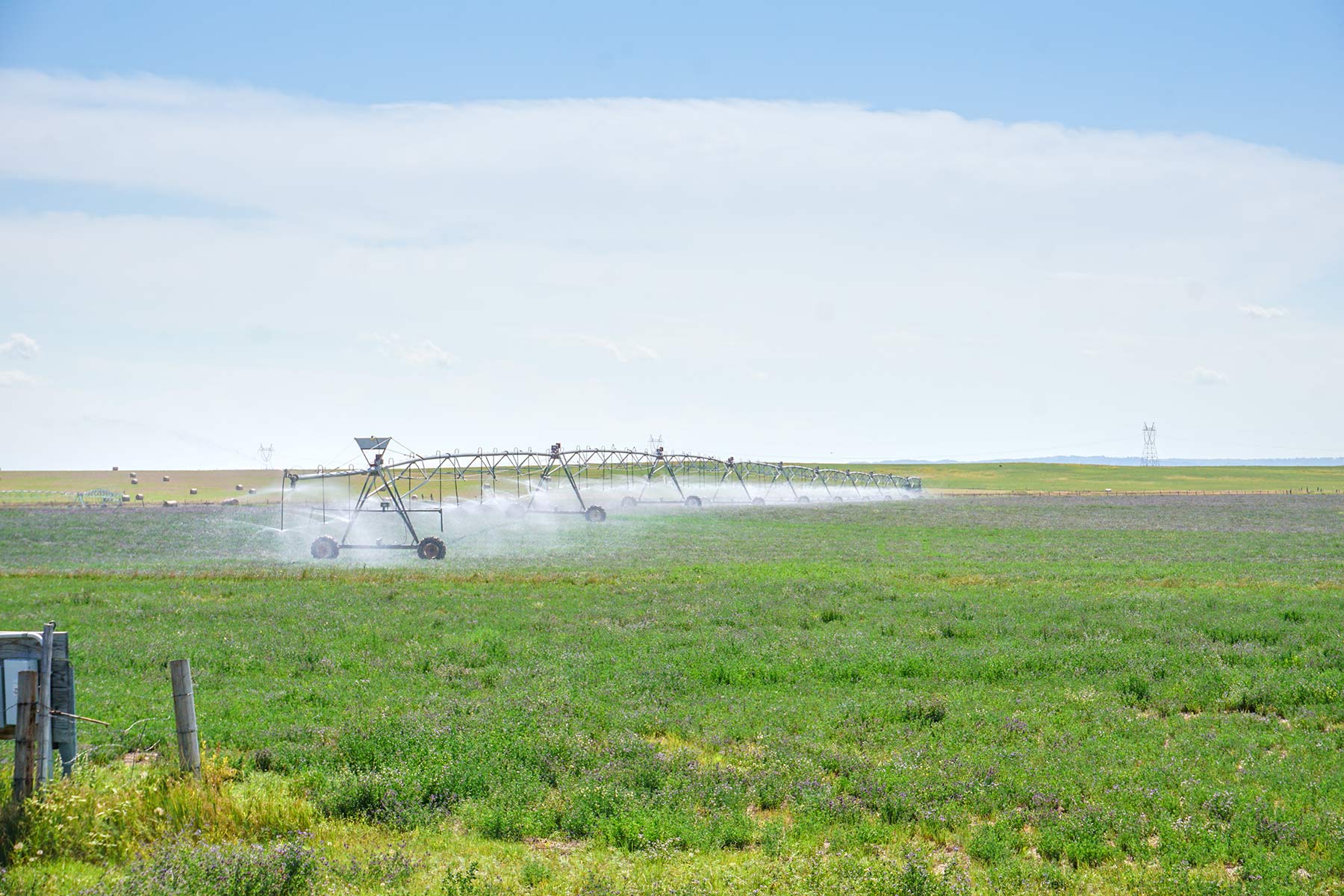 Whitney Lake Farm property picture 9 of 20