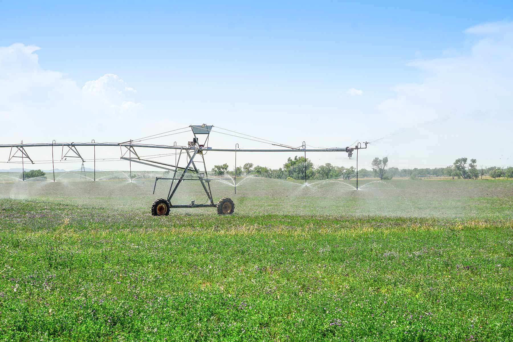 Whitney Lake Farm property picture 2 of 20