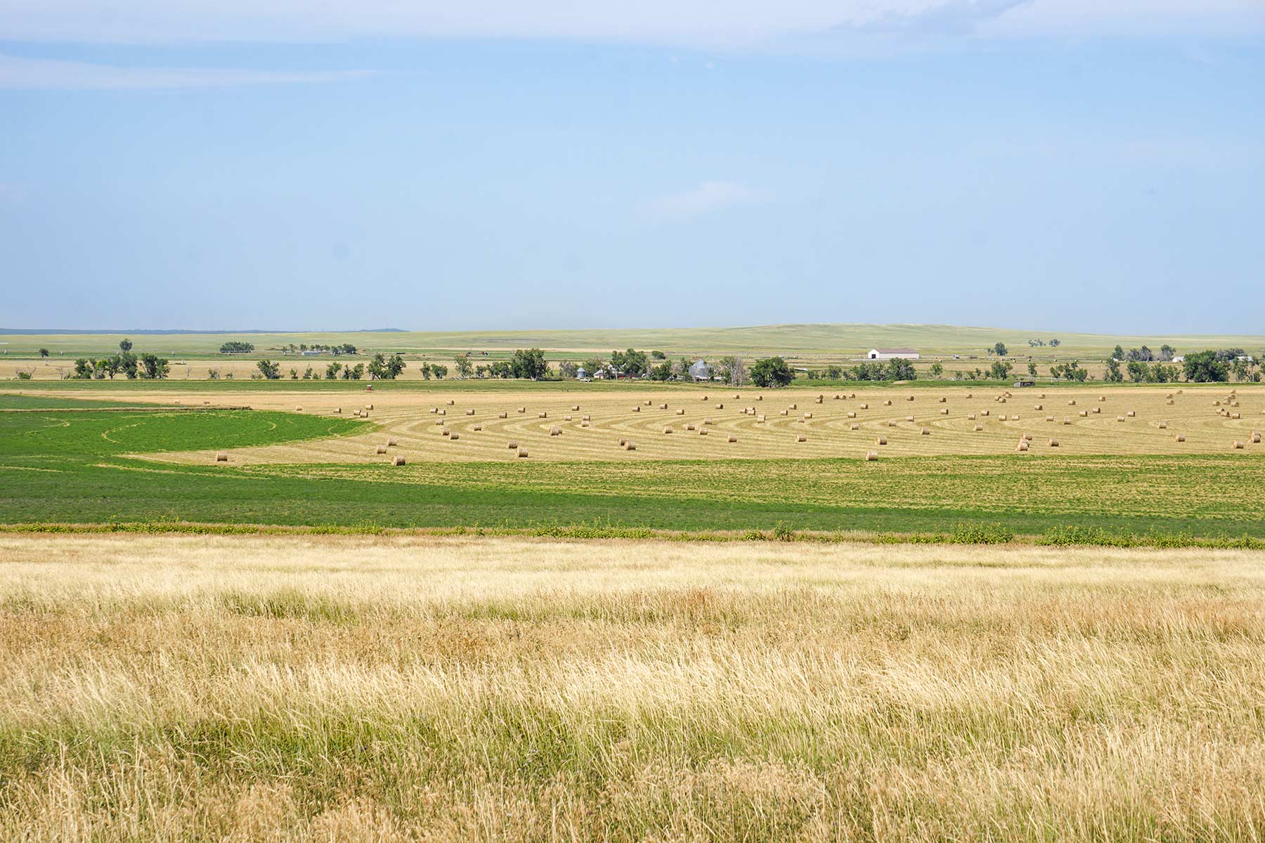 Whitney Lake Farm property picture 19 of 20