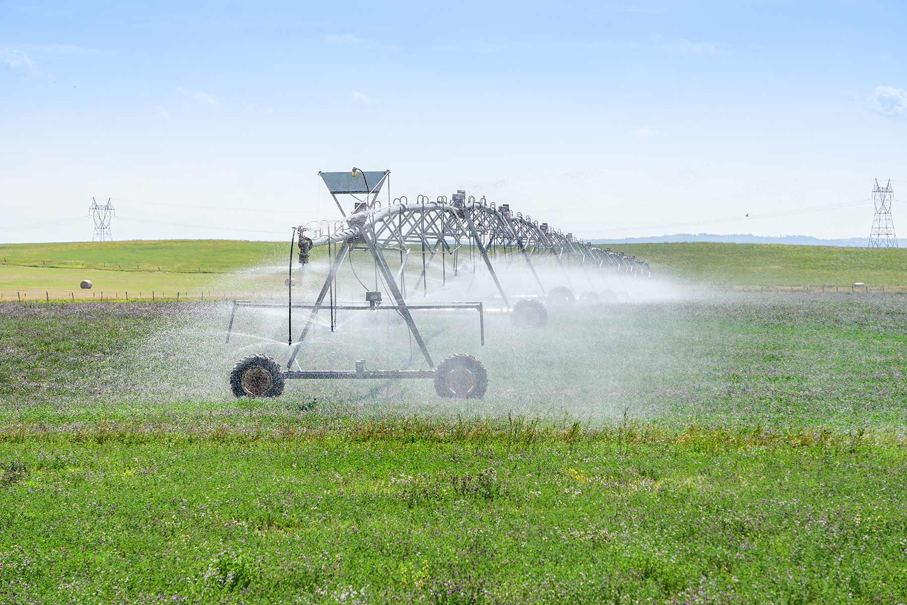 Whitney Lake Farm property picture 11 of 20